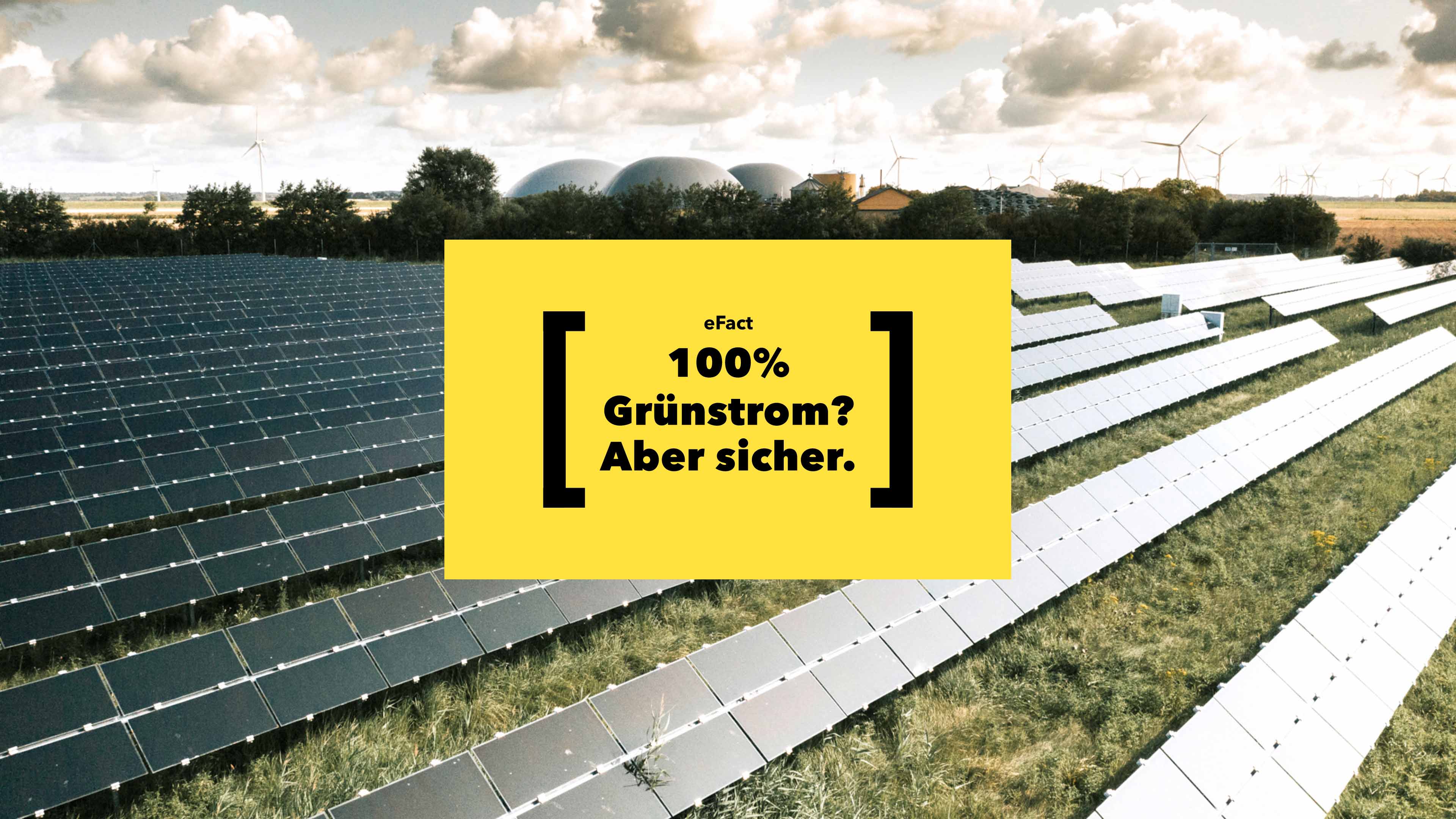 hochzwei_efacts_slider_02.jpg Solarplatten stehen auf einer großen grünen Wiese