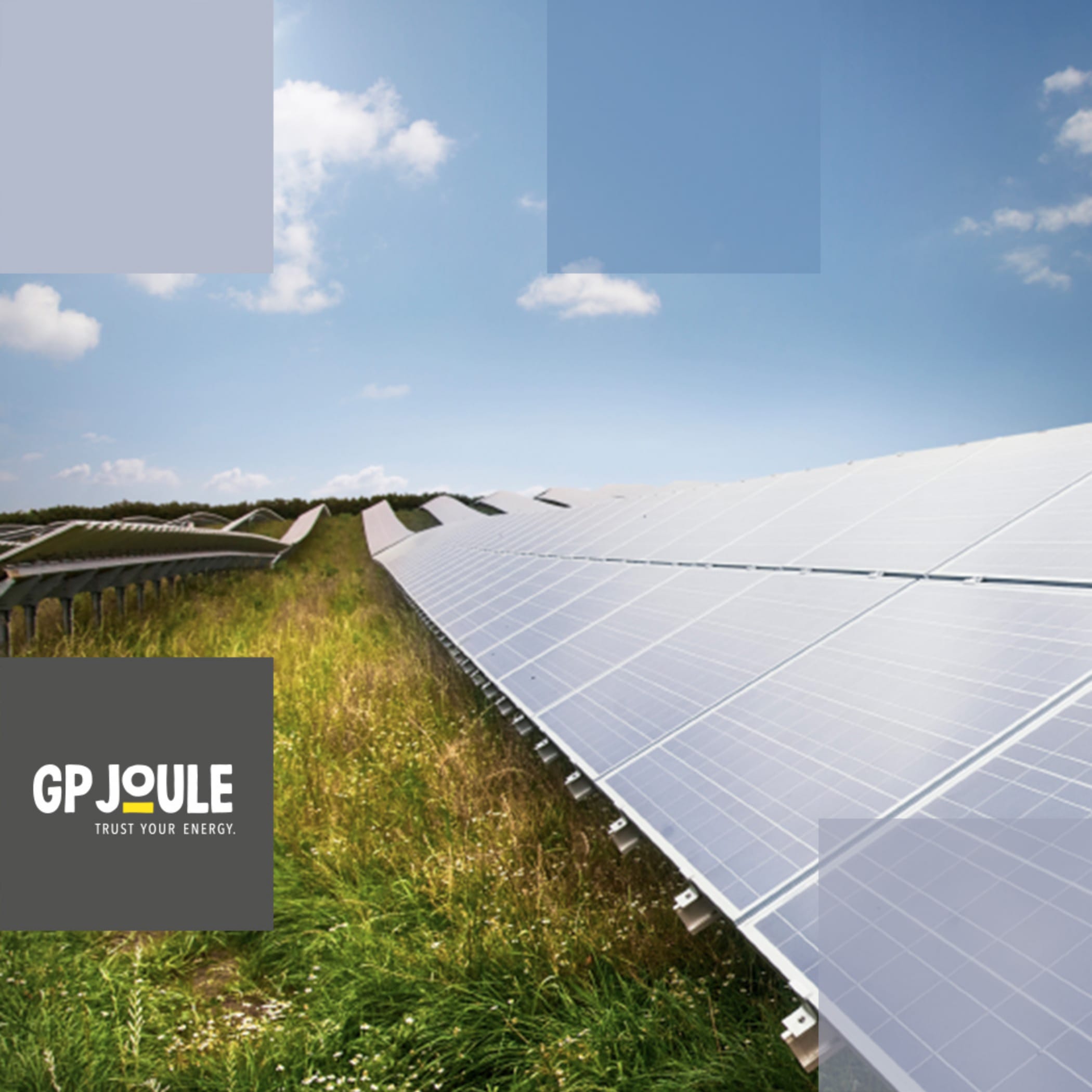 hochzwei_gpjoule_teaser_06.jpg Solarplatten stehen auf einer grünen Wiese
