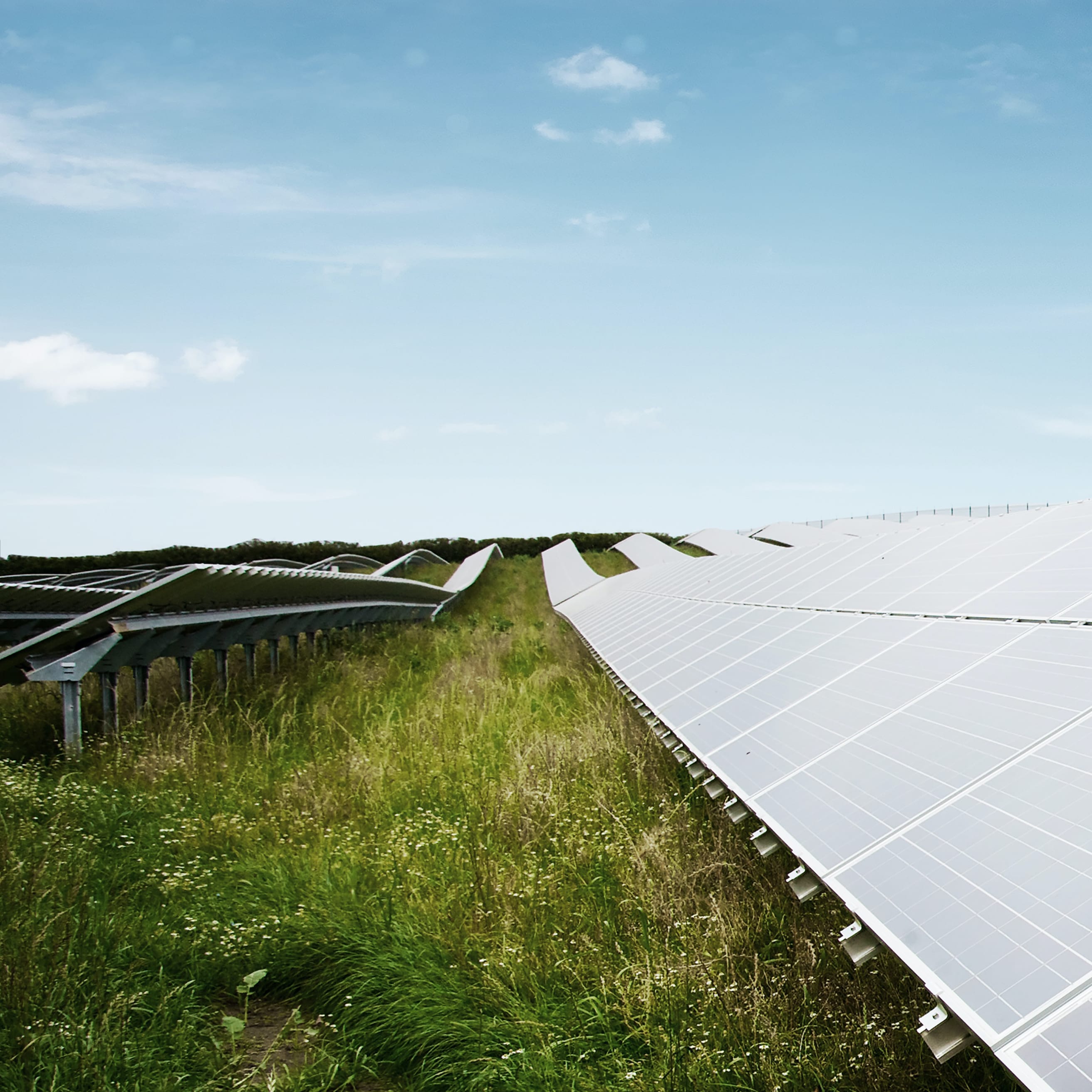 hochzwei_gp_teaser_03.jpg Solarplatten stehen auf einem Rasen