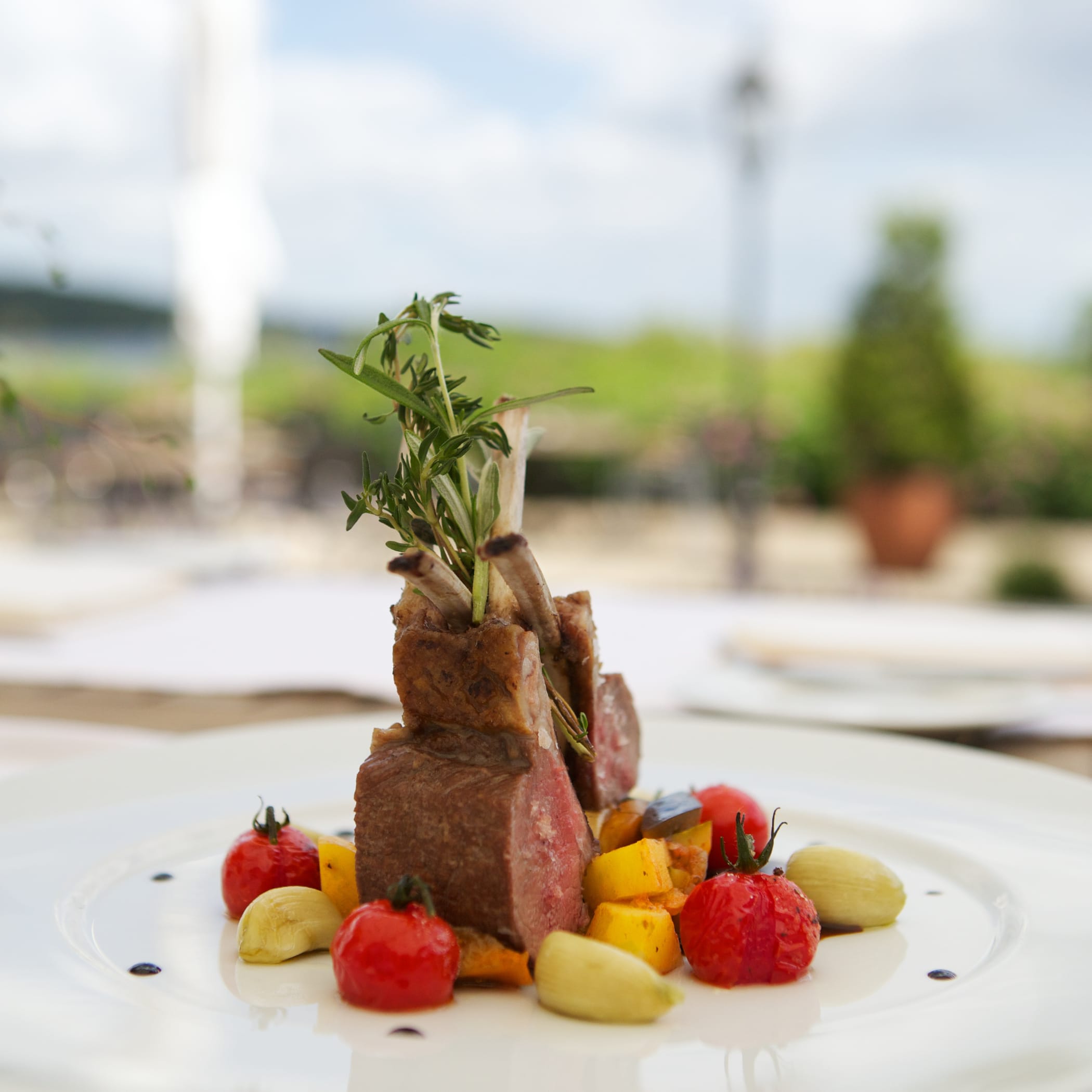 hochzwei_howa_teaser_08.jpg Ein Stück Fleisch serviert auf einem weißen Teller und garniert mit Gemüse