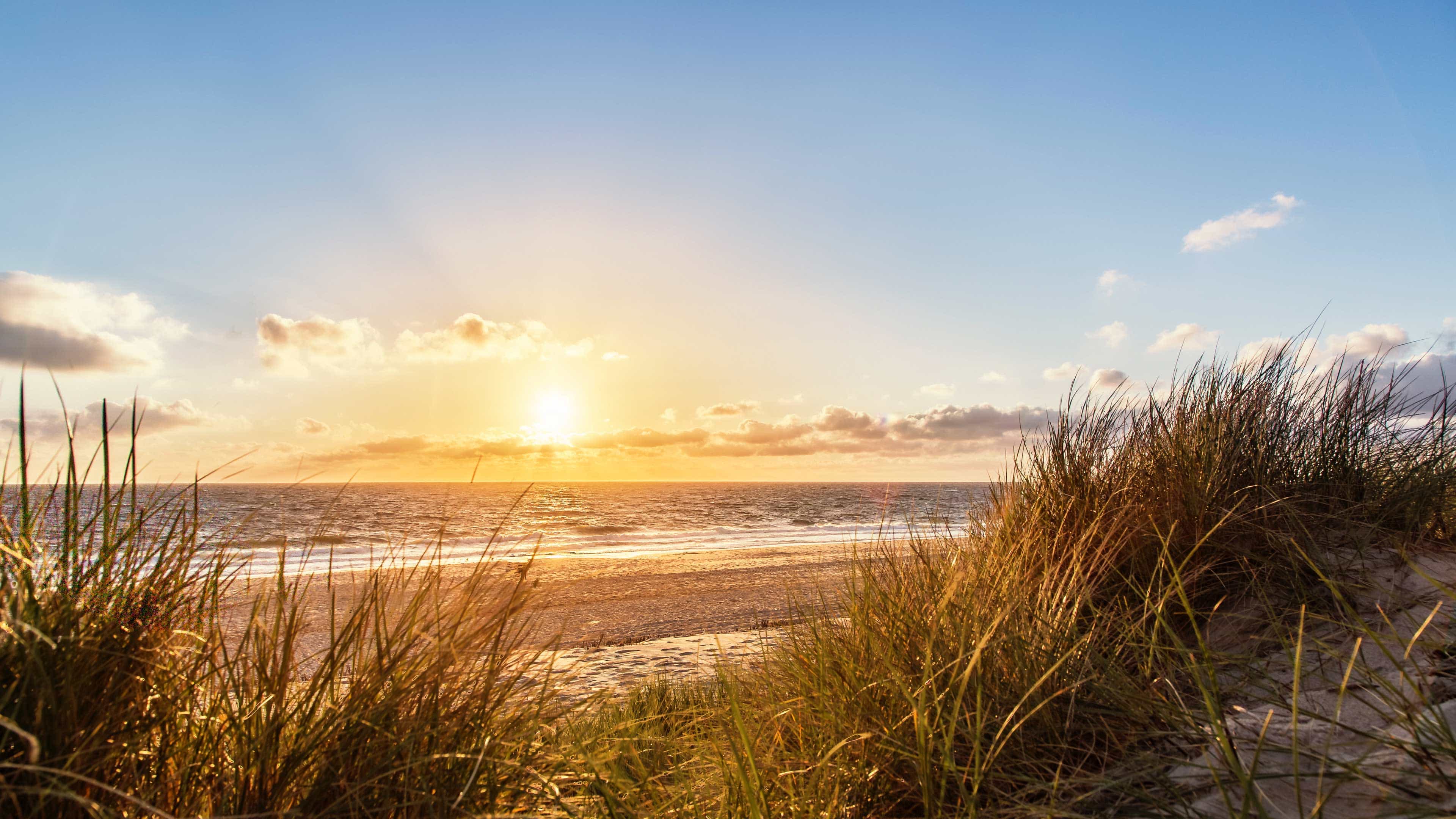 hochzwei_tsw_slider_03.jpg Blick durch die Dünen auf einen Sonnenuntergang