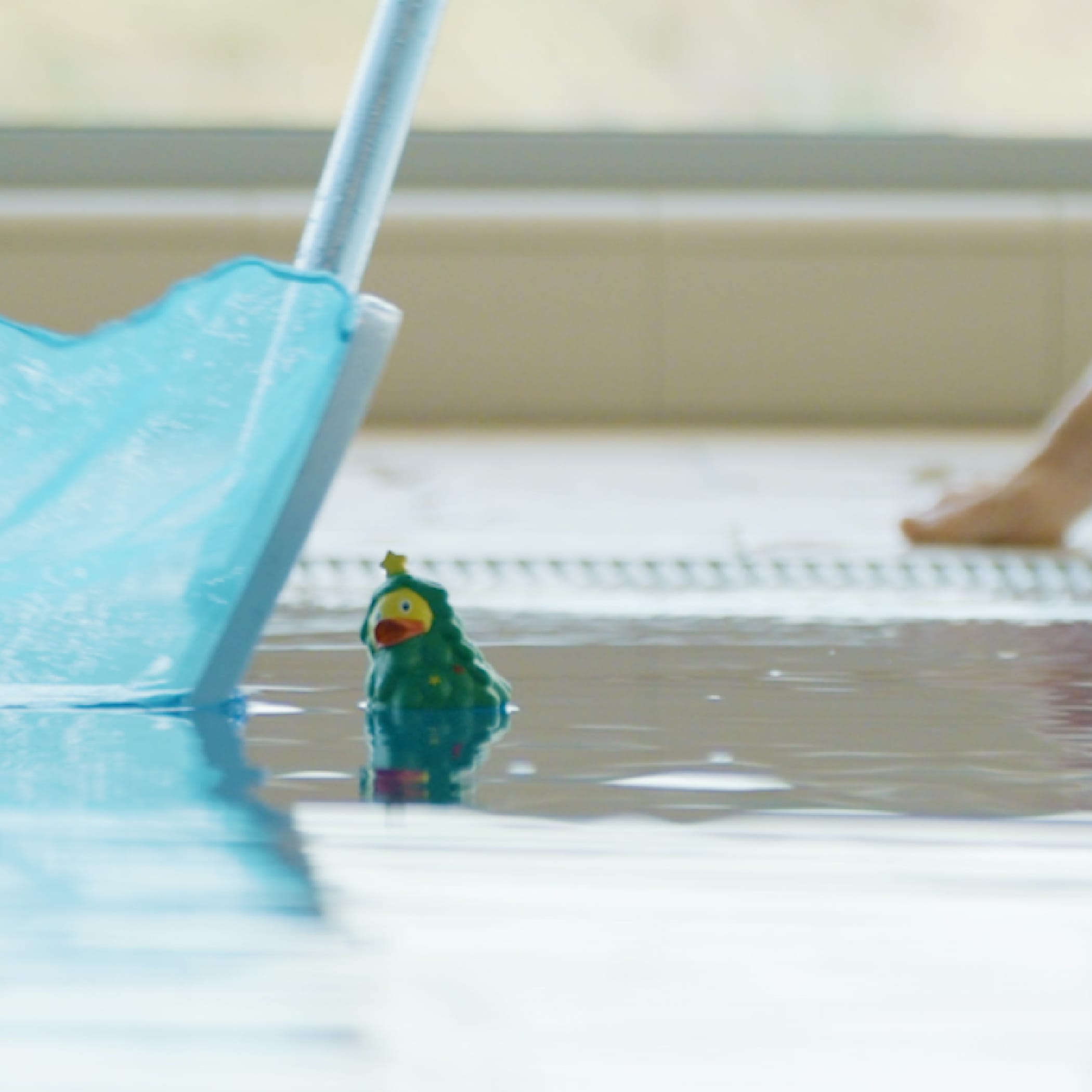 Ein Quitschente schwimmt im Poolbecken