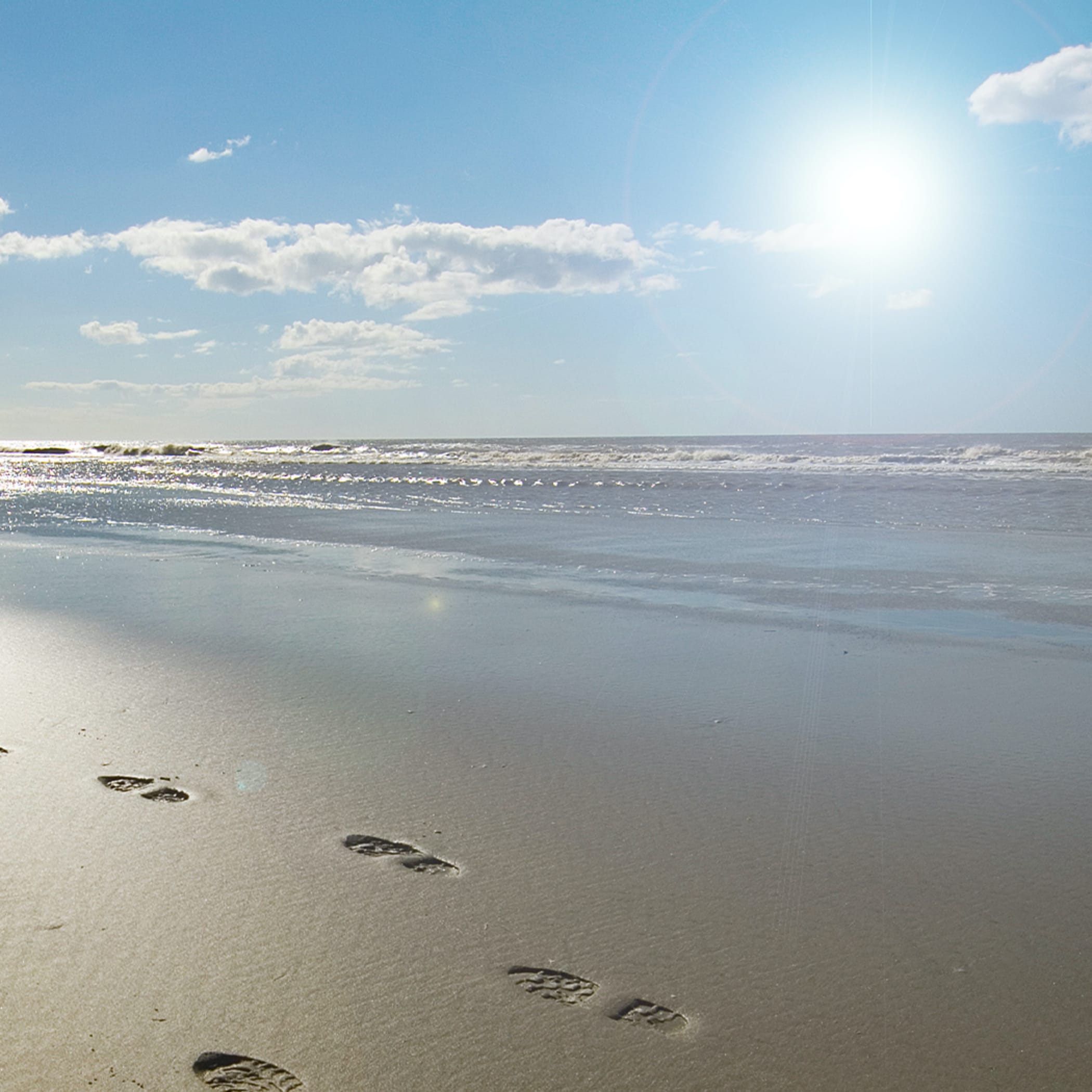 hochzwei_japp_teaser_07.jpg Blick auf einen Sonnigen Strand