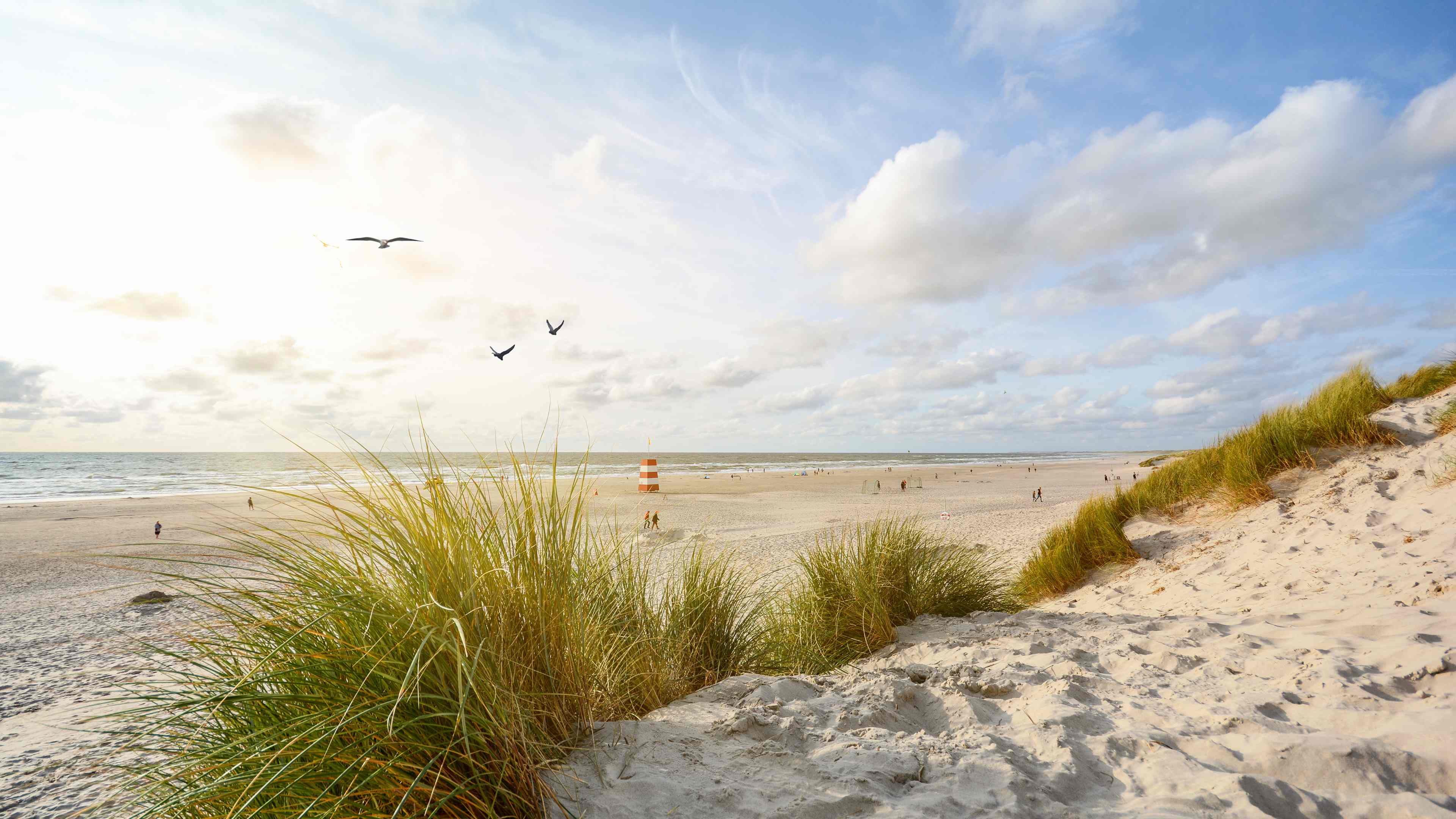 h2_kluge_slider_02.jpg Blick auf Dünen am Strand