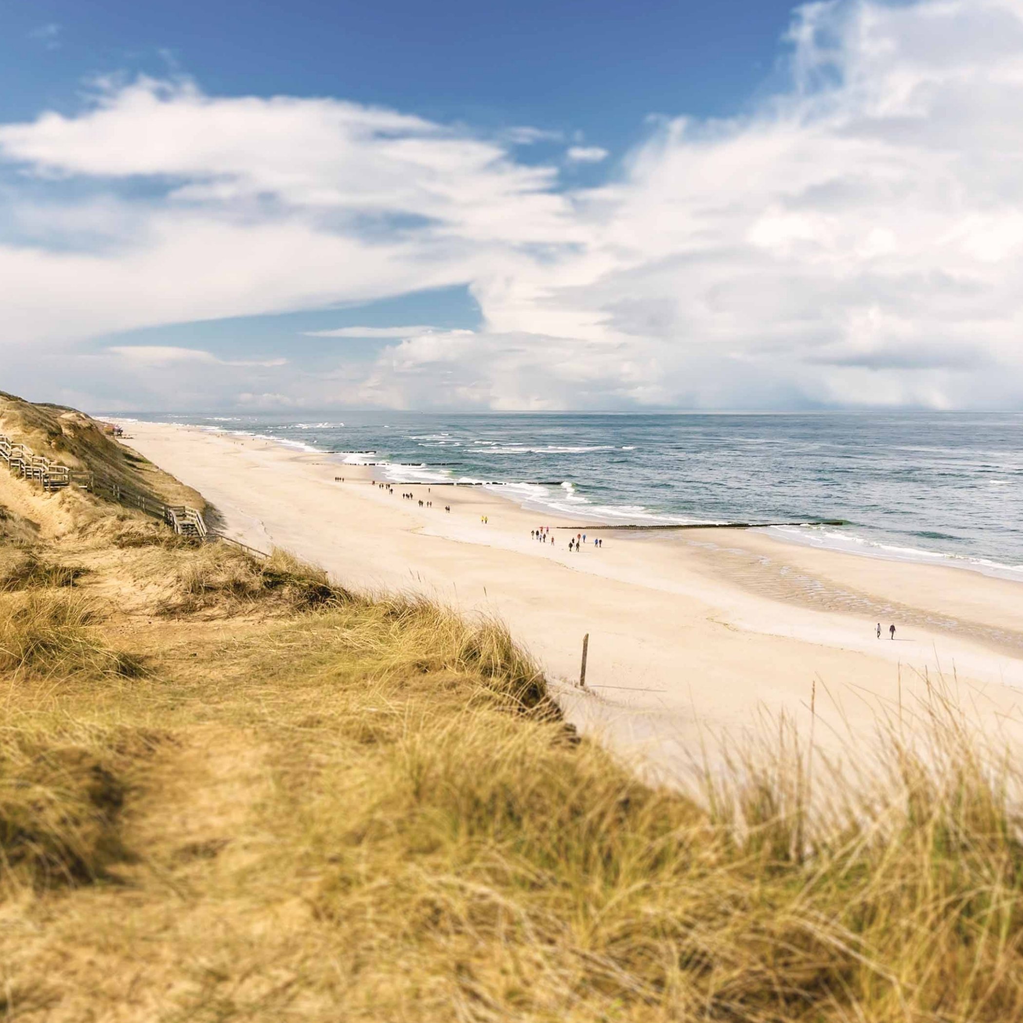 h2_kluge_teaser_03.jpg Blick auf einen weiten Strand mit Dünen