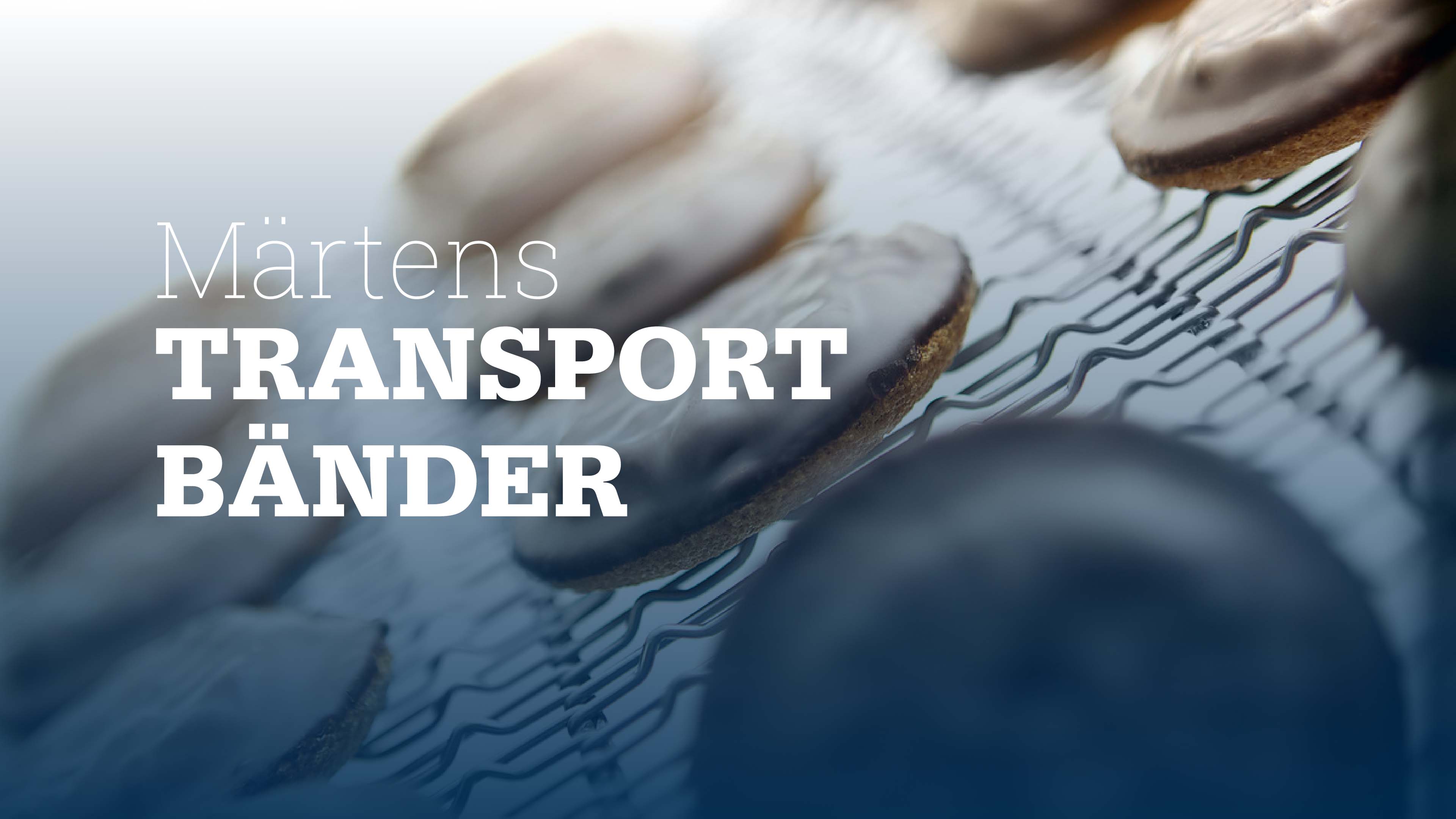 Kekse liegen auf einem Transportband