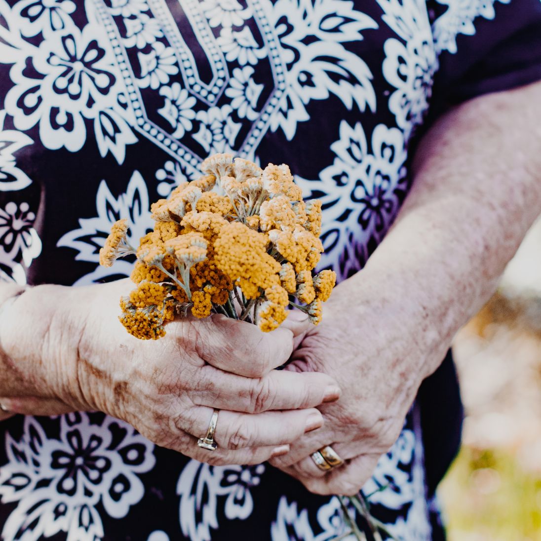 Nahaufnahme eines Blumenstraußes, den eine Frau in den Händen hält.