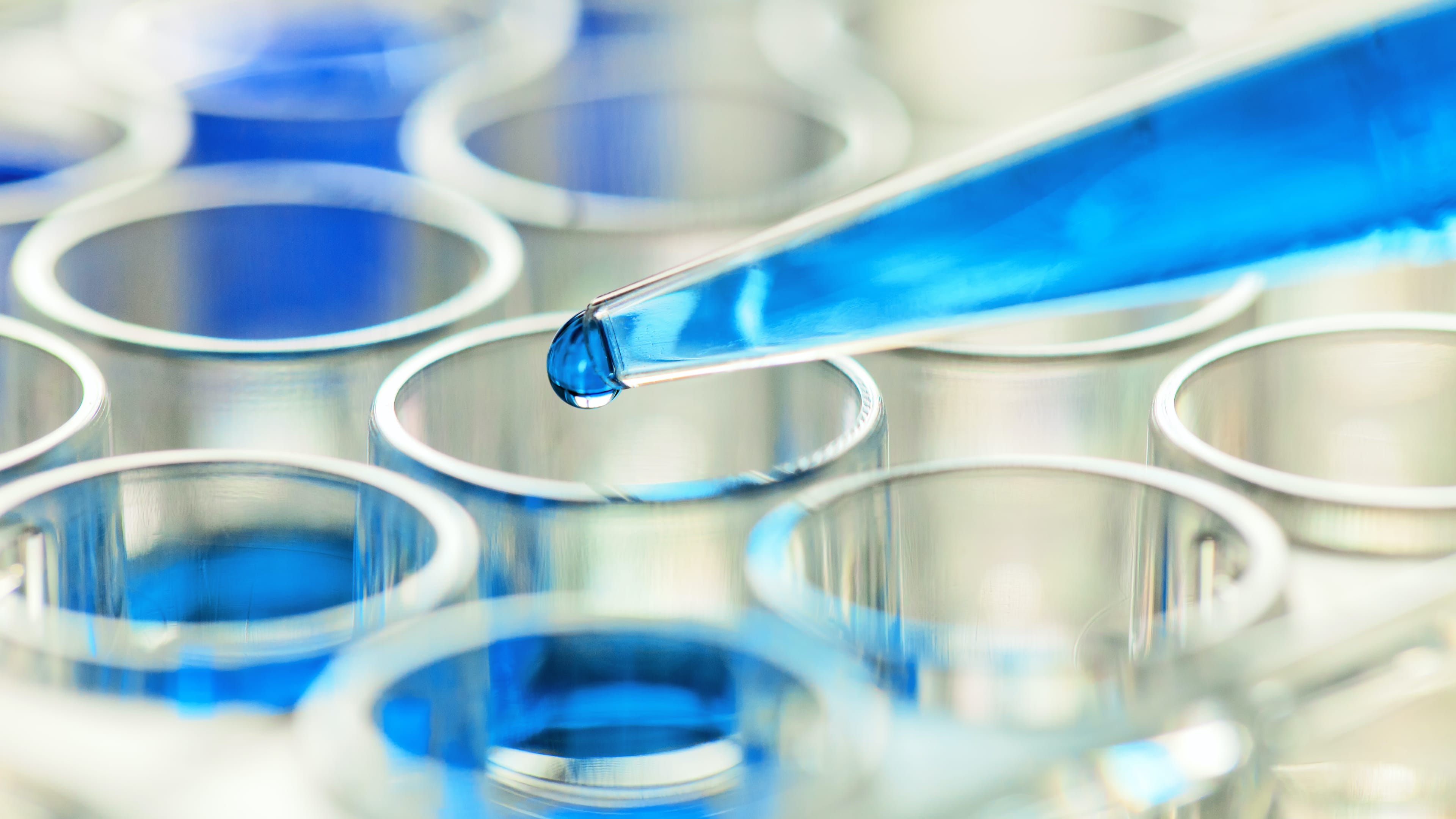 Nahaufnahme einer Pipette mit einer blauen Flüssigkeit drin