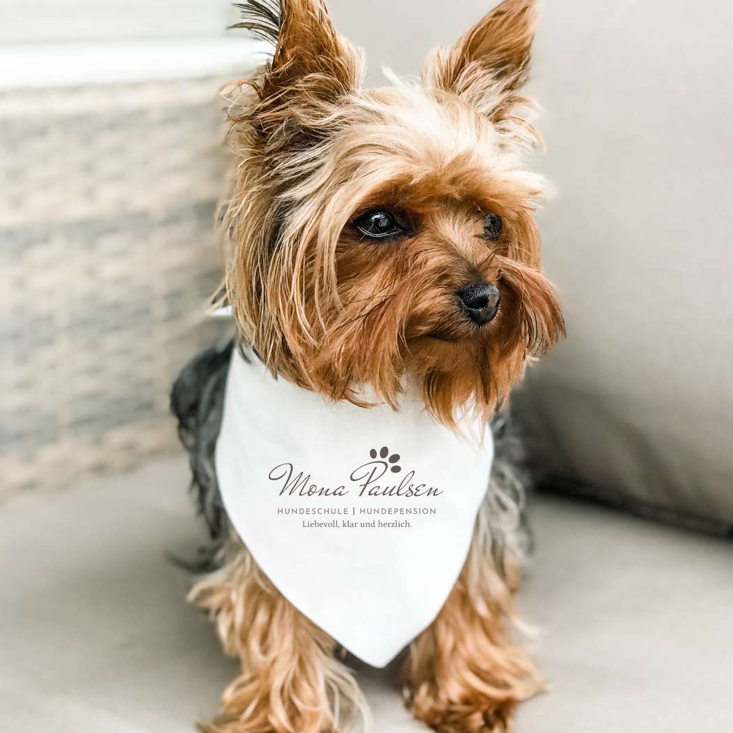 hochzwei_monapaulsen_teaser_05.jpg Ein kleiner Hund trägt ein Tuch um den Hals