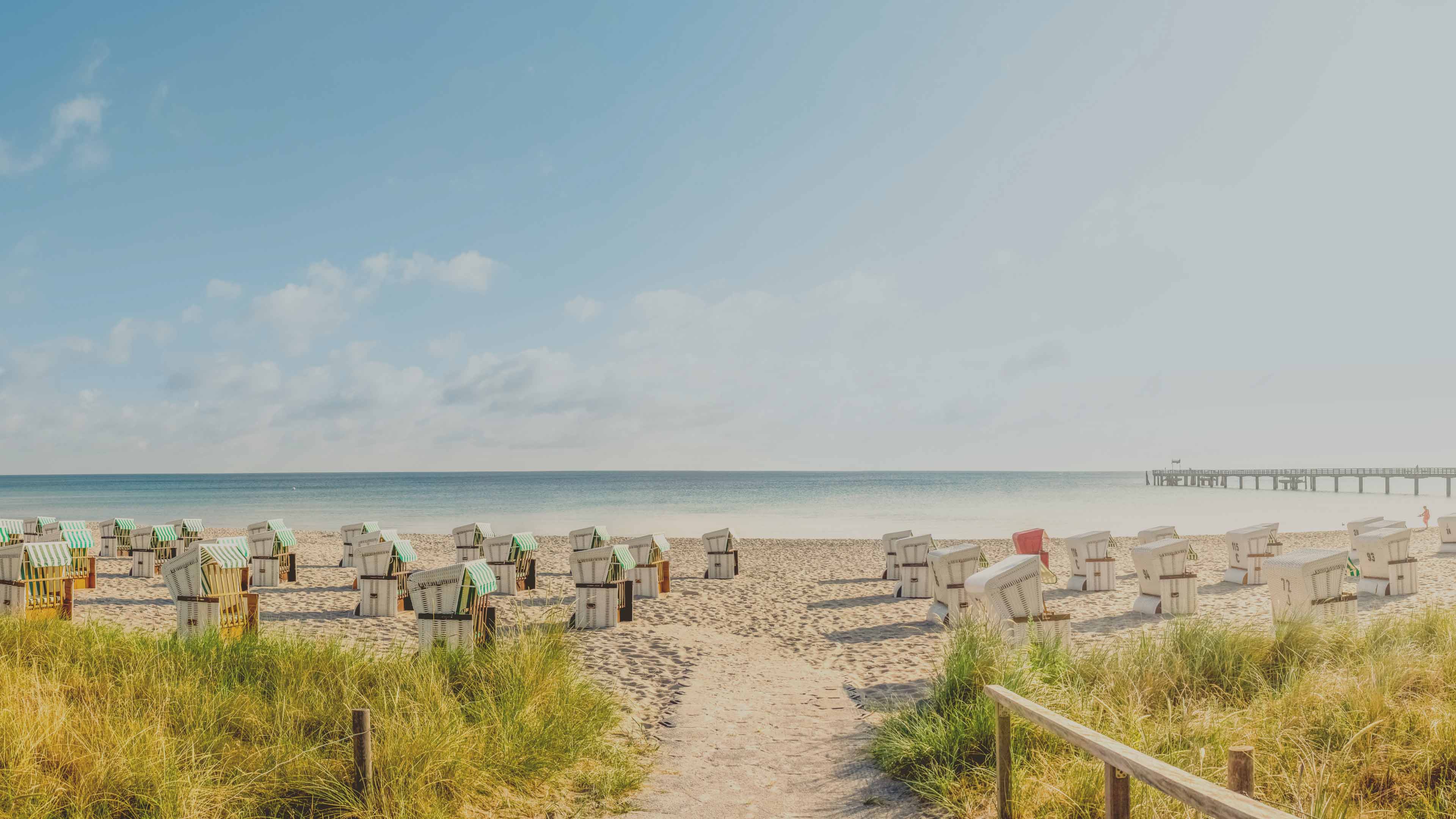 Blick auf einen Strand mit vielen Strandkörben und Schilf