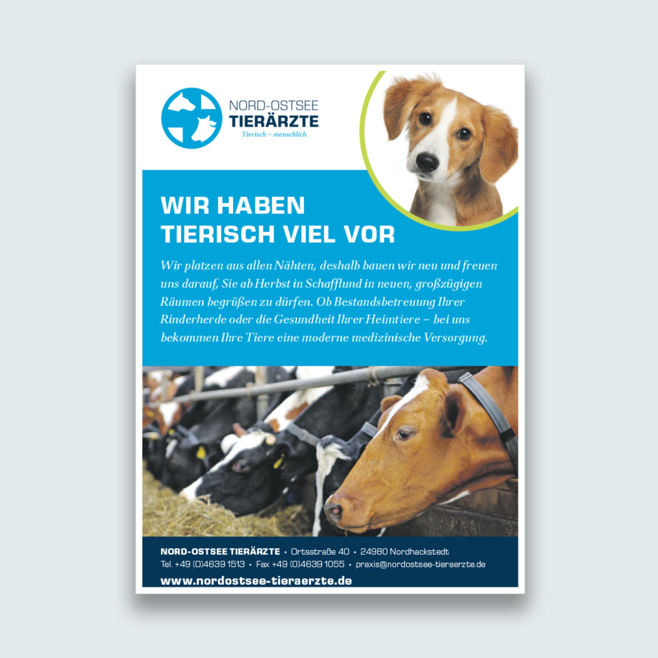 hochzwei_noti_teaser_06.jpg Flyer der Nord Ostsee Tierärzte mit Kälbern auf dem Cover