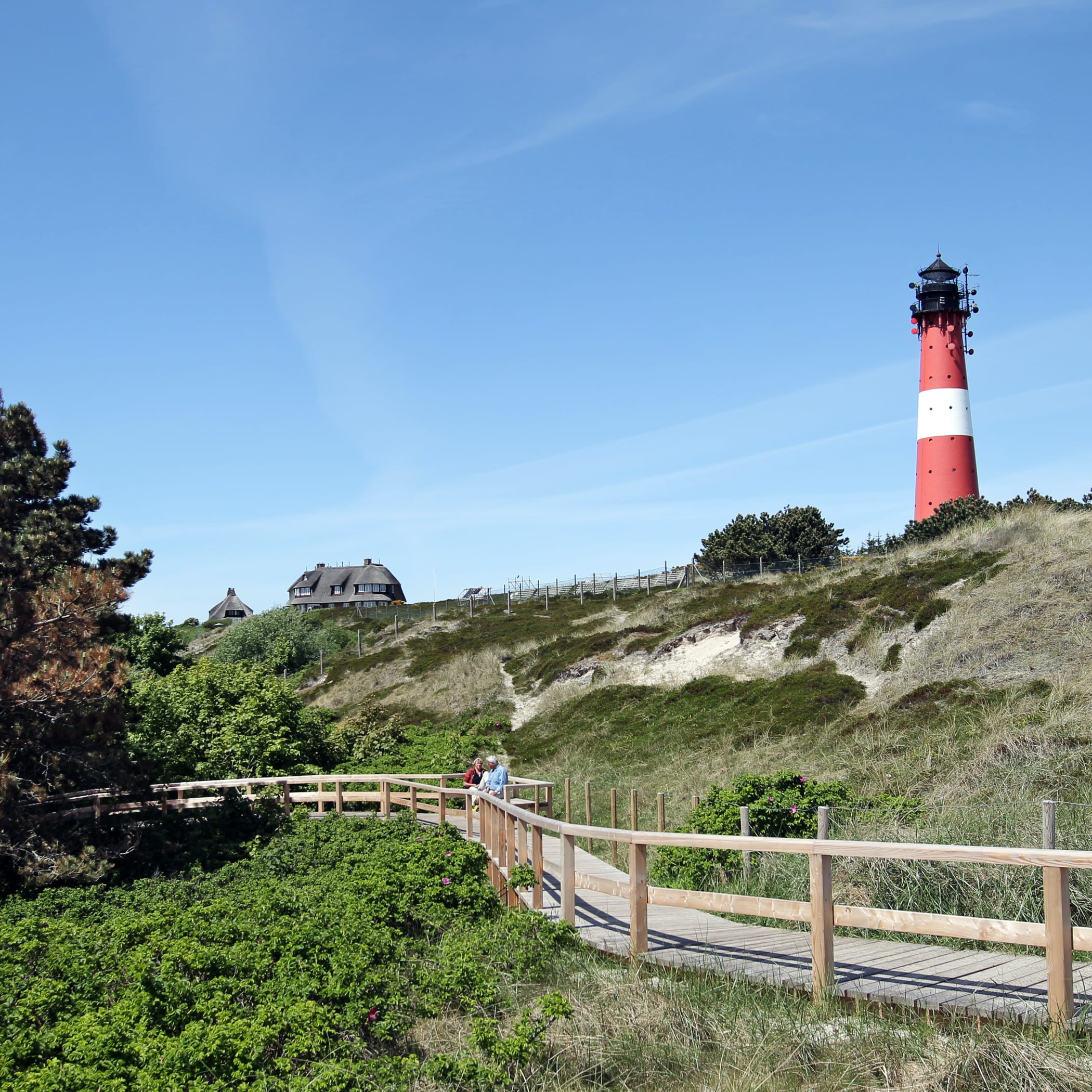 hochzwei_nosp_teaser_01.jpg Blick auf einen Steg durch die Dünen mit einem Leuchtturm im Hintergrund