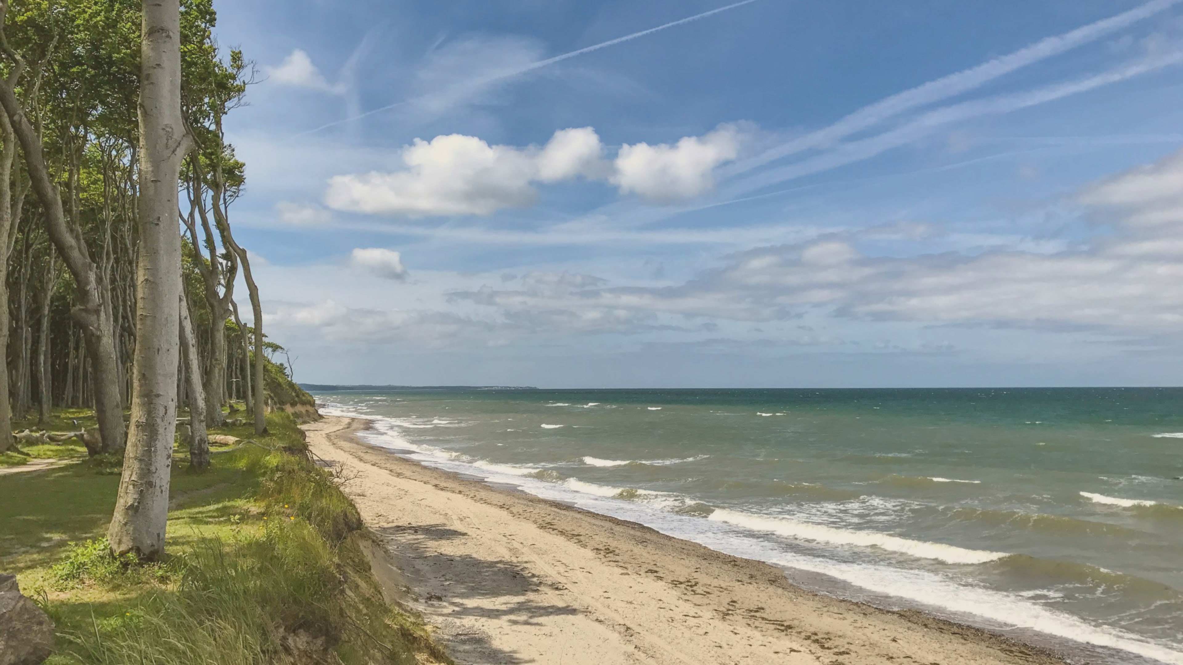 hochzwei_ofv_slider_02.jpg Blick auf Strand mit angrenzendem Wald