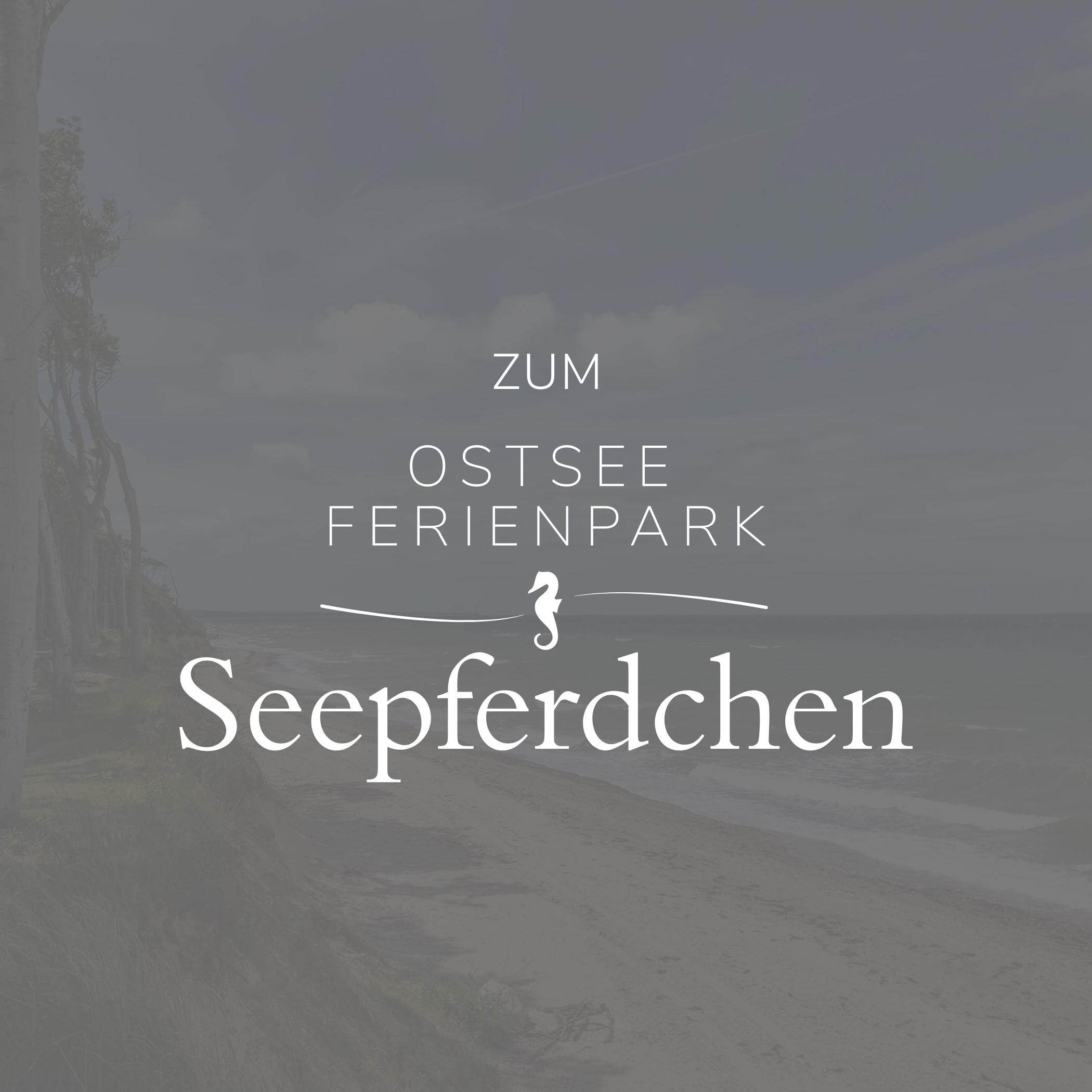 hochzwei_ofv_teaser_12.jpg Ostsee Ferienpark Logo mit Strand als underlay