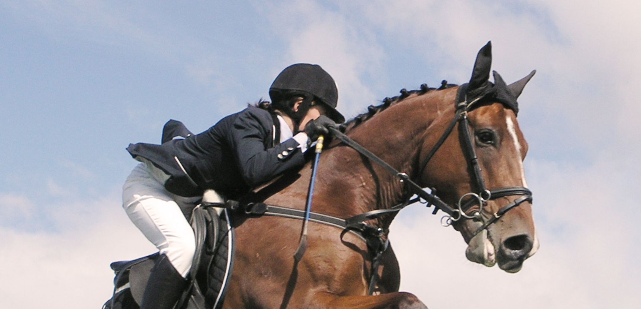 h2_PSVI_teaser_04.jpg Eine Springreiterin auf ihrem braunen Pferd.