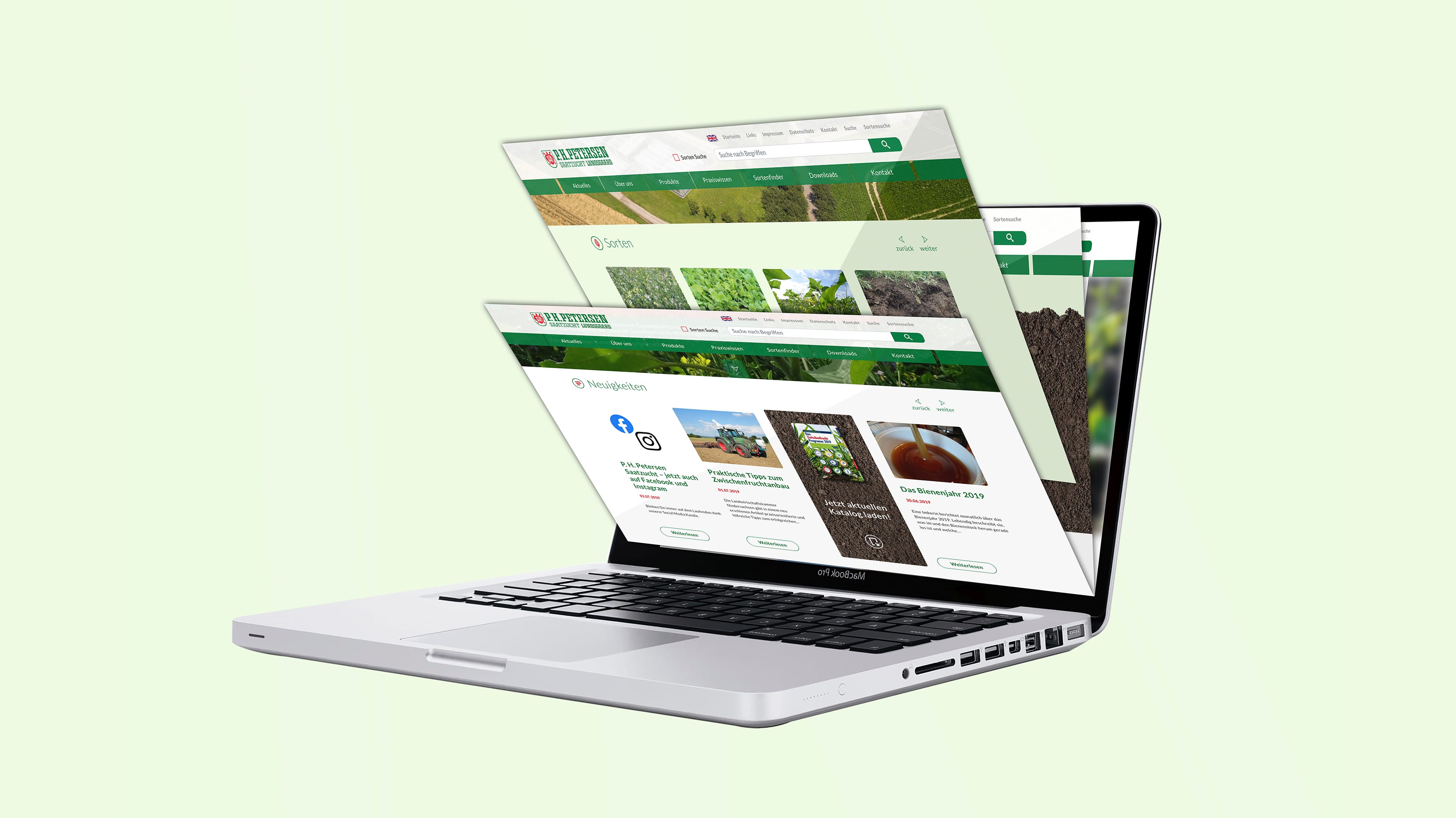 Aufgeklappter Laptop mit Homepage von PH Petersen