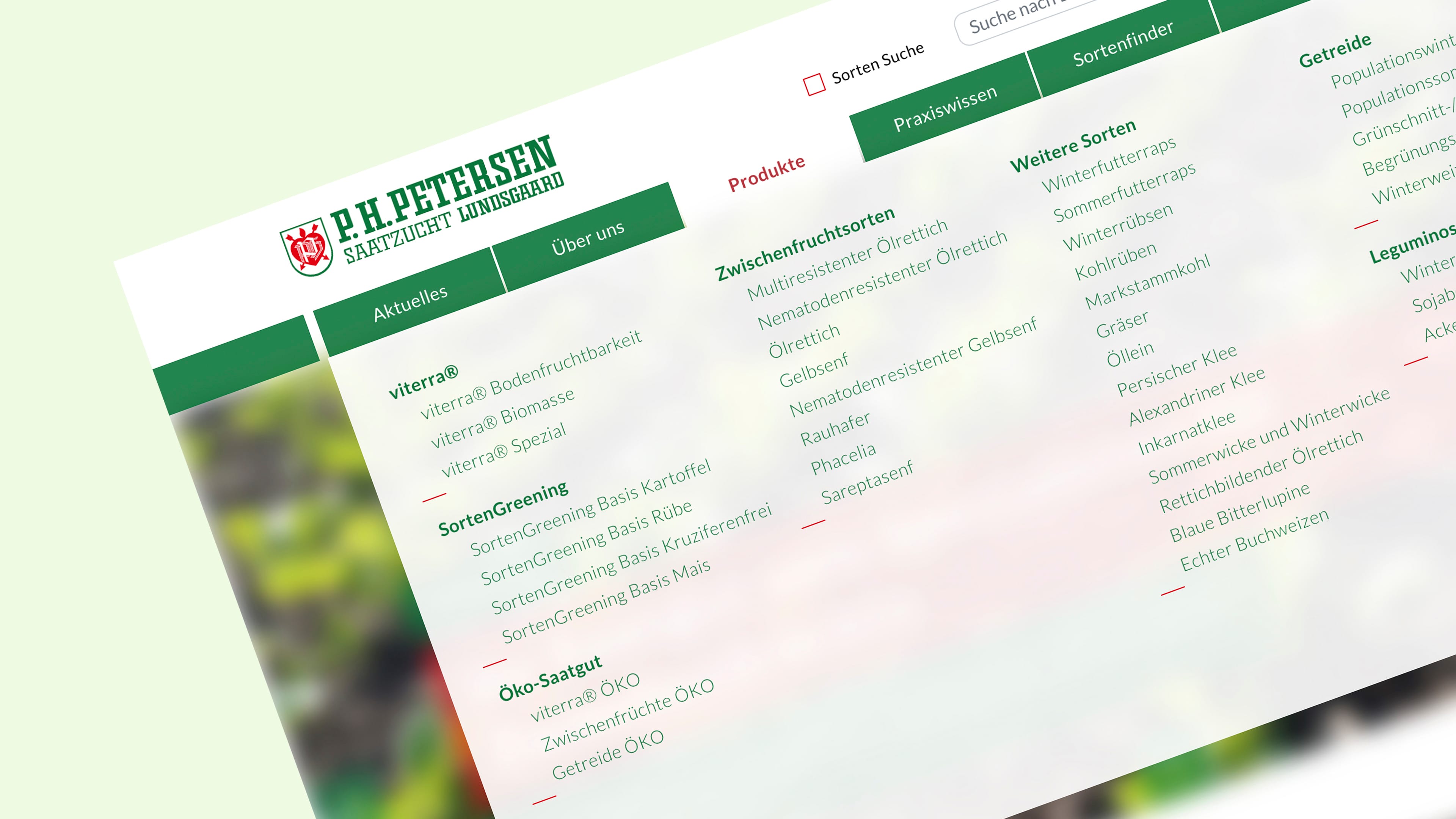 Ausschnitt der PH Petersen Homepage