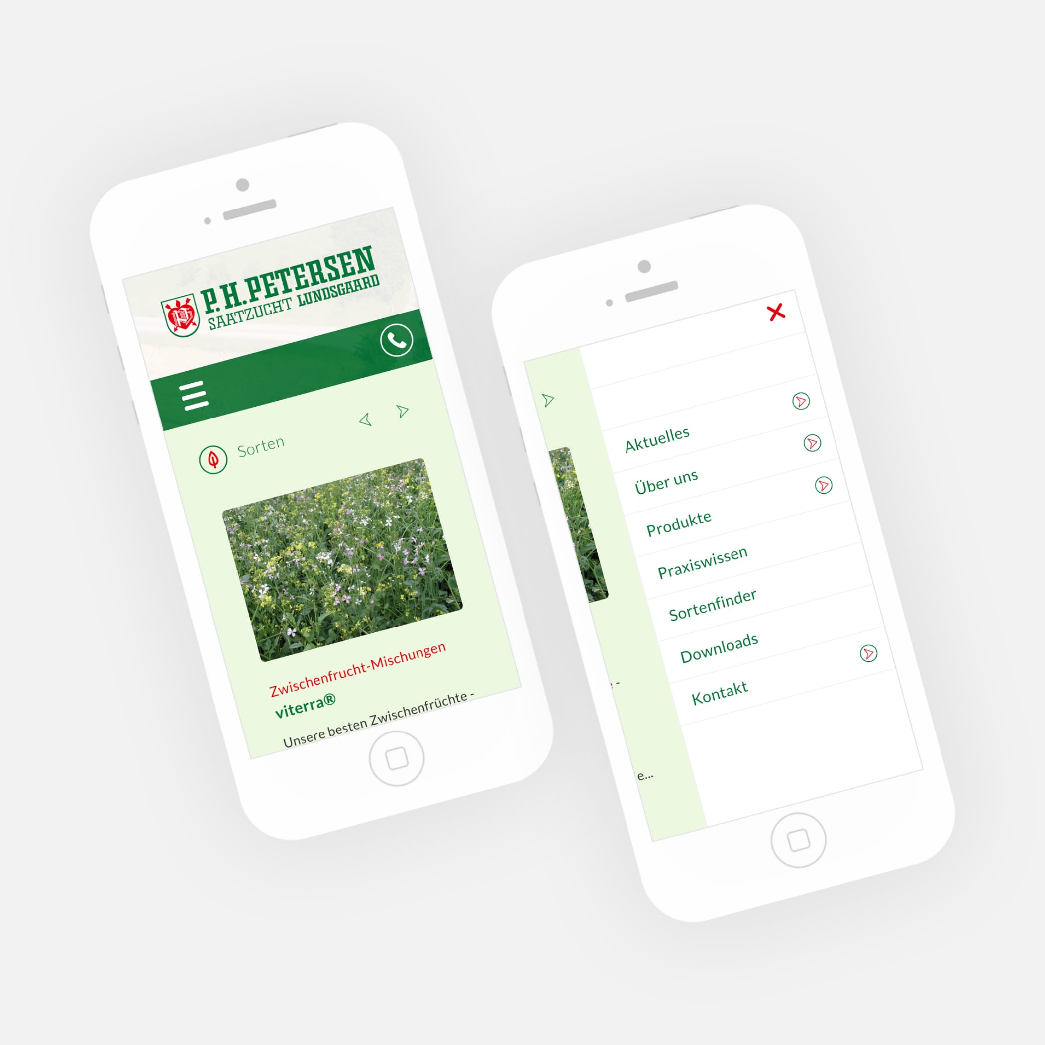 hochzwei_ph_teaser_03.jpg Illustrierte Handy Ansicht der ph petersen Homepage