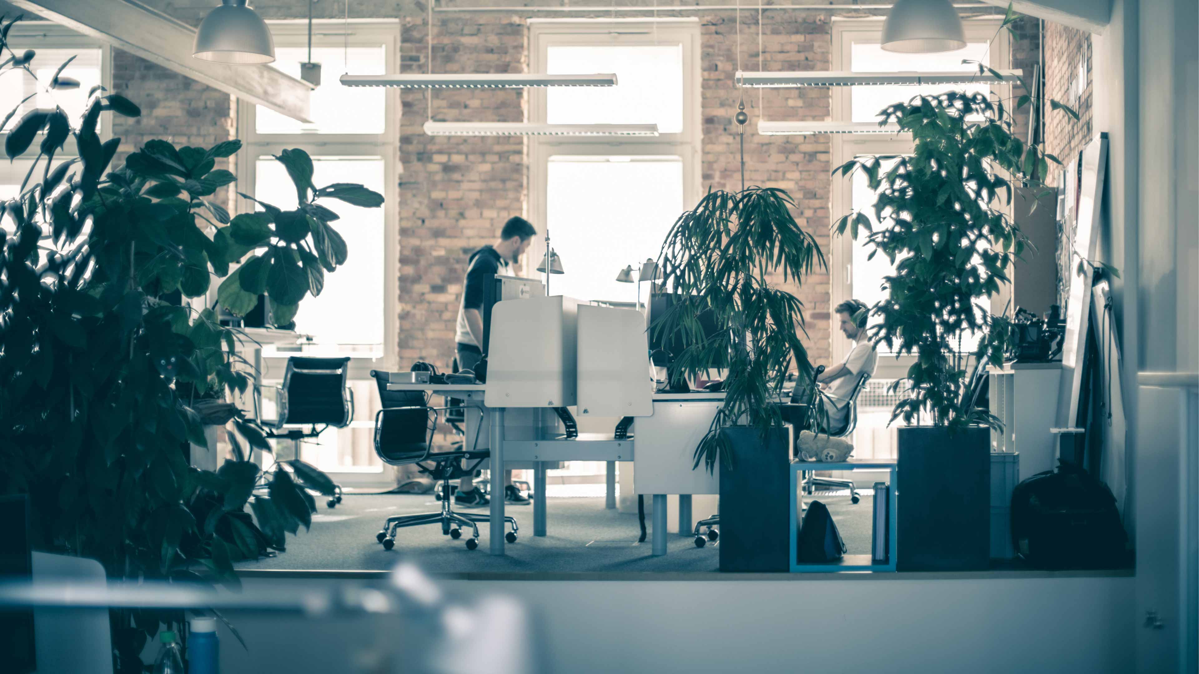 Blick auf das Bewegtbild Büro