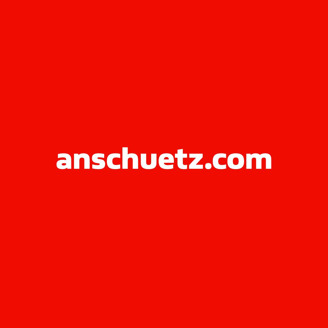 Link auf rotem Hintergrund: anschuetz.de