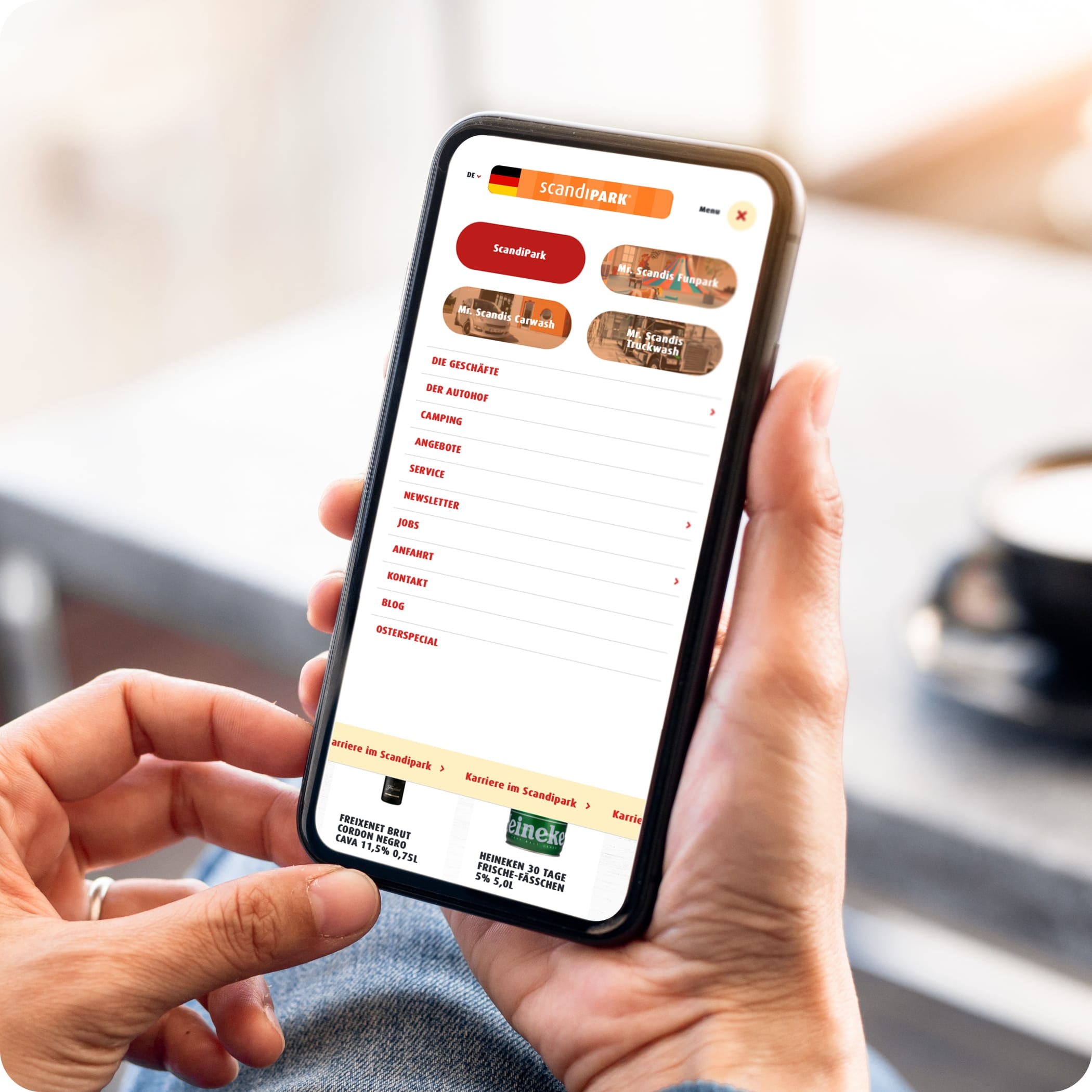 Person hält Handy in der Hand mit der Scandipark Homepage