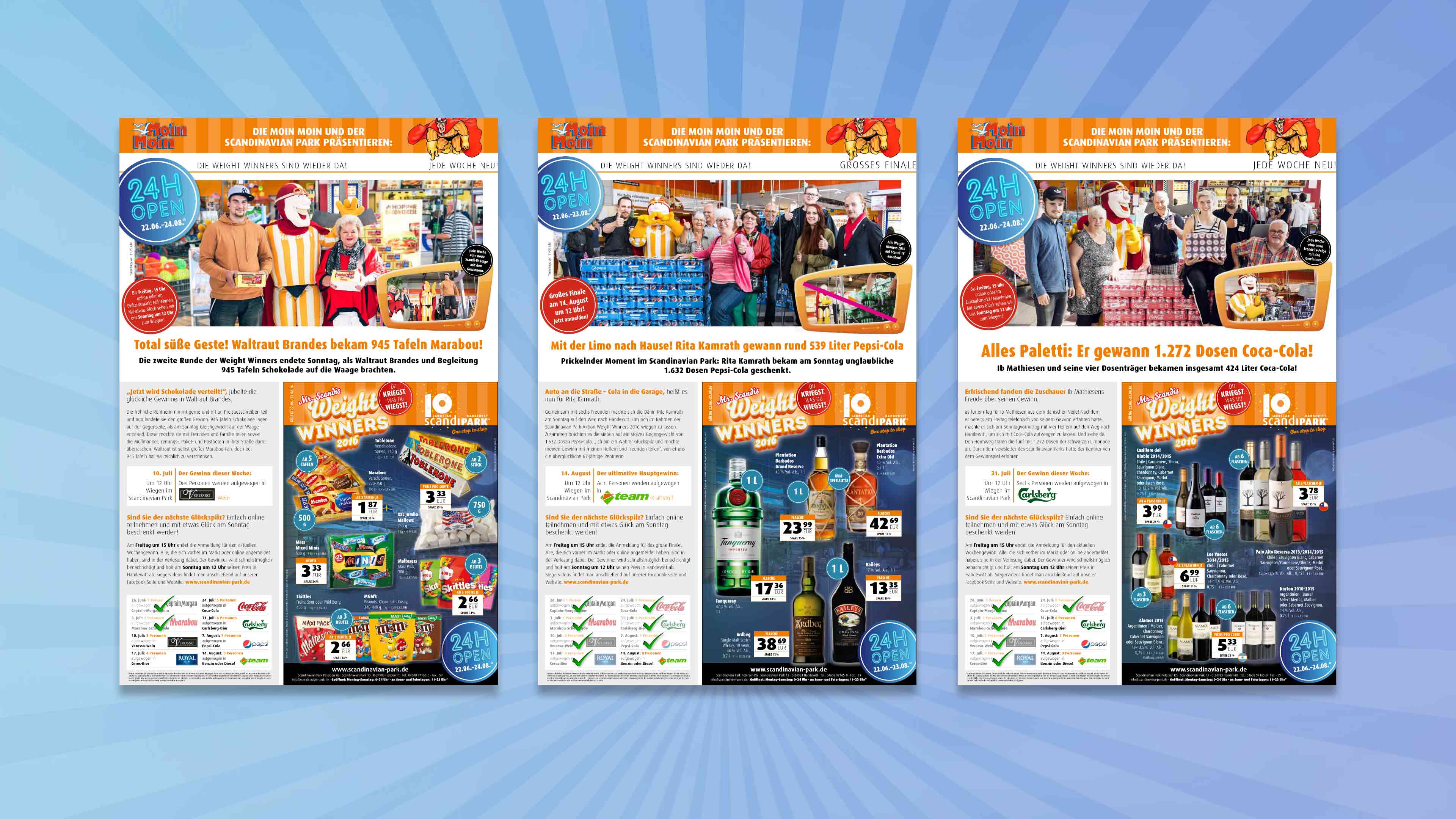 hochzwei_scan_slider_01.jpg Drei Scandipark Werbeflyer