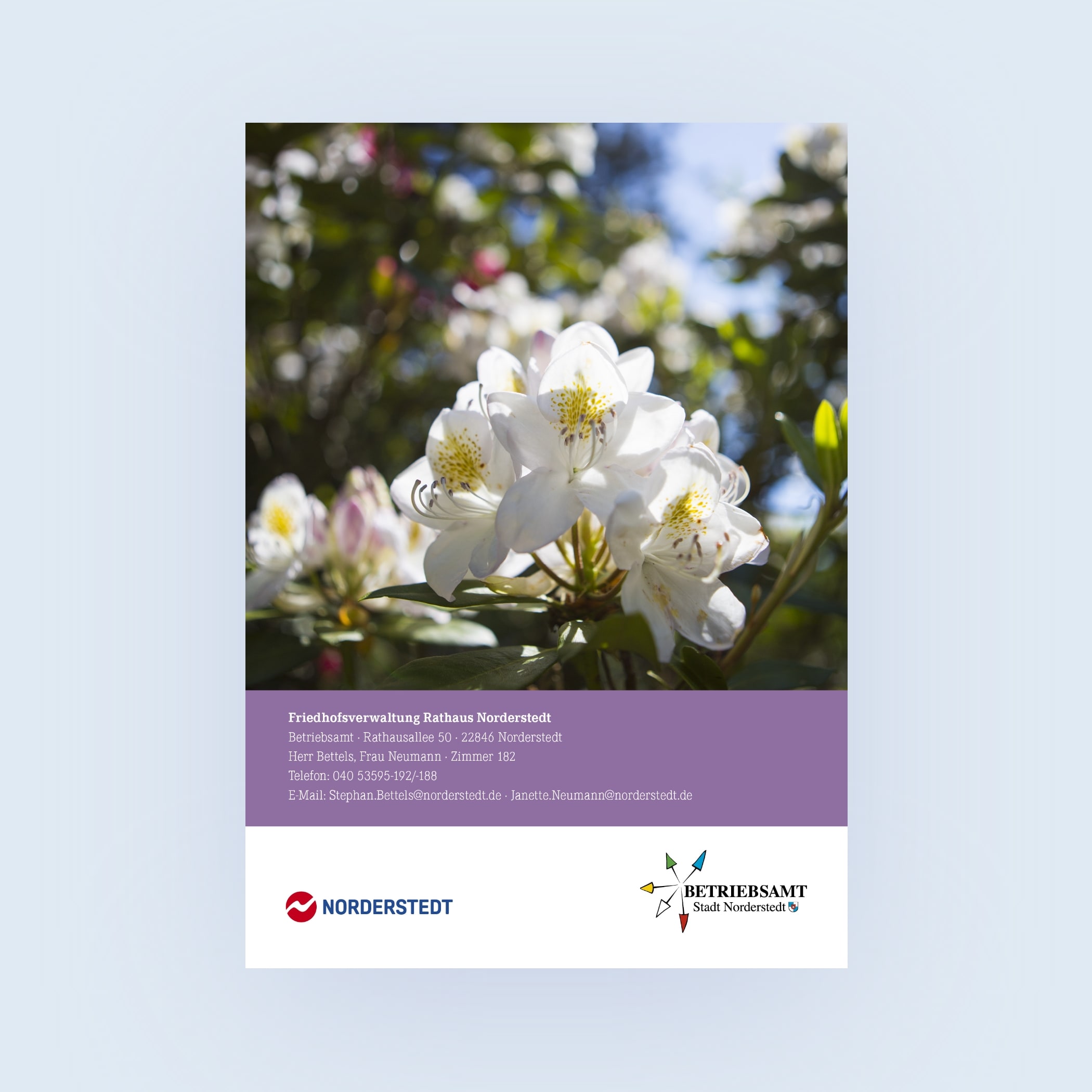 hochzwei_stno_teaser_09.jpg Nahaufnahme von einer weißen Blume