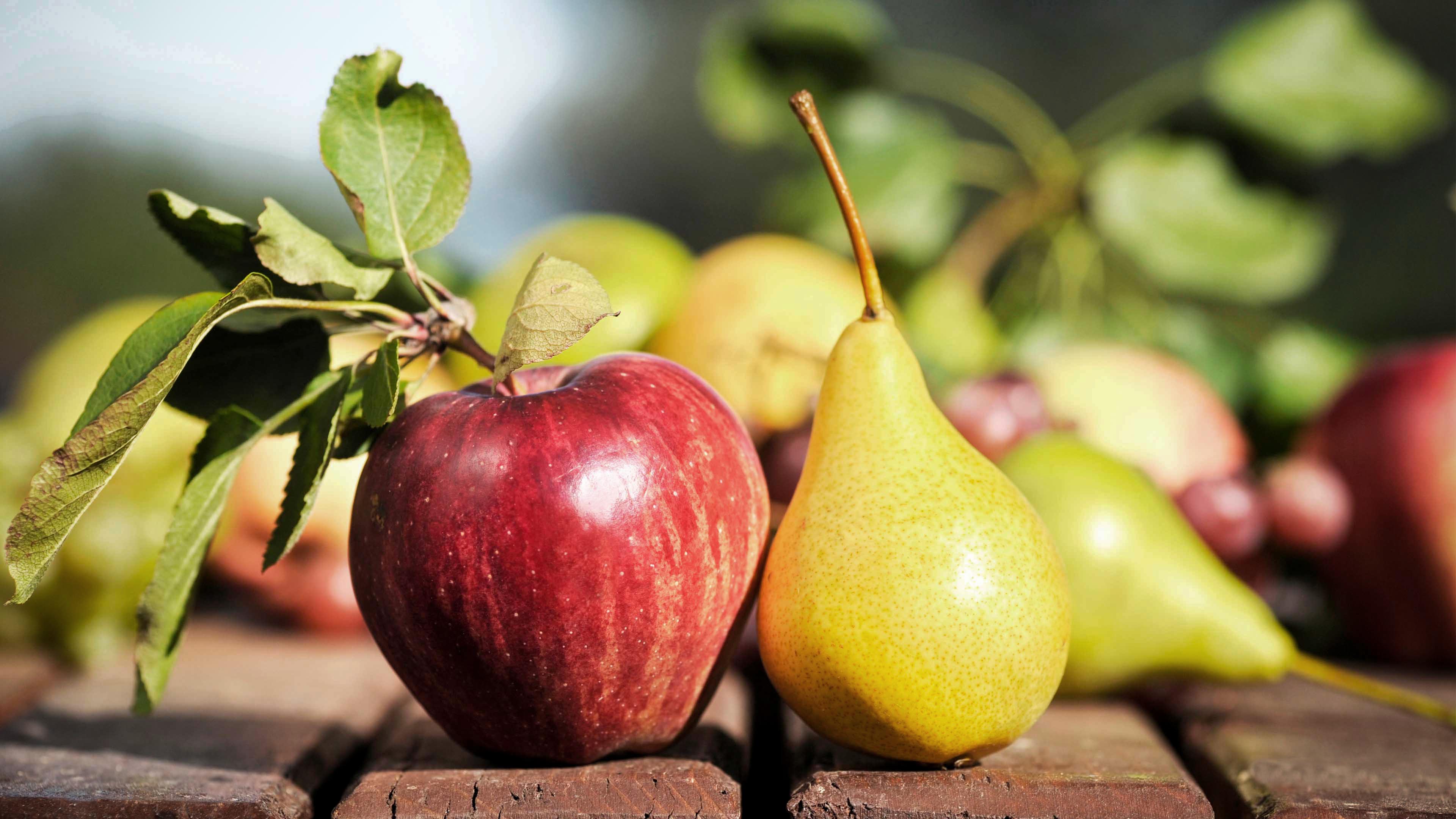 Nahaufnahme von einem Apfel und einer Birne