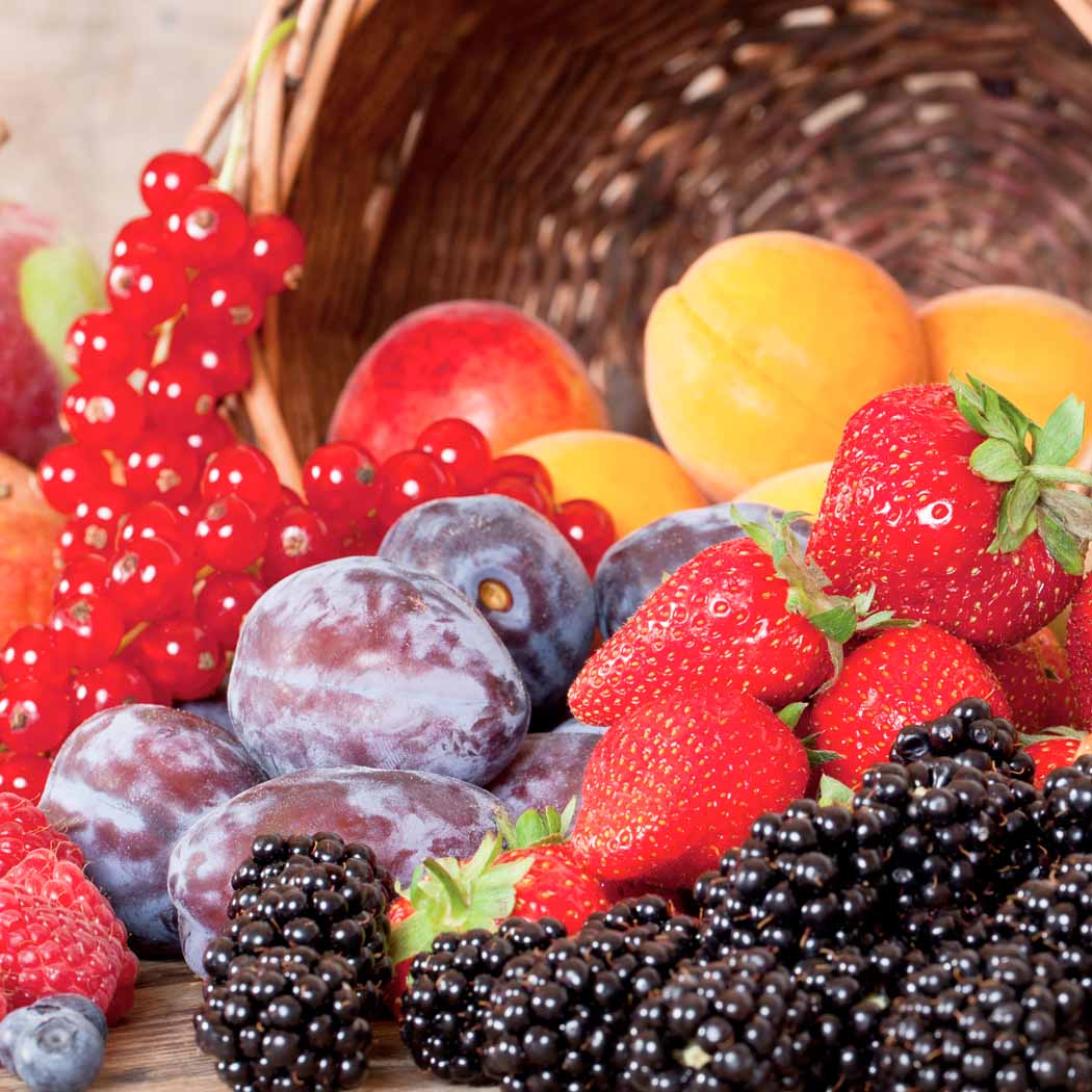 hochzwei_stei_teaser_06.jpg Holzkorb gefüllt mit unterschiedlichen Beeren
