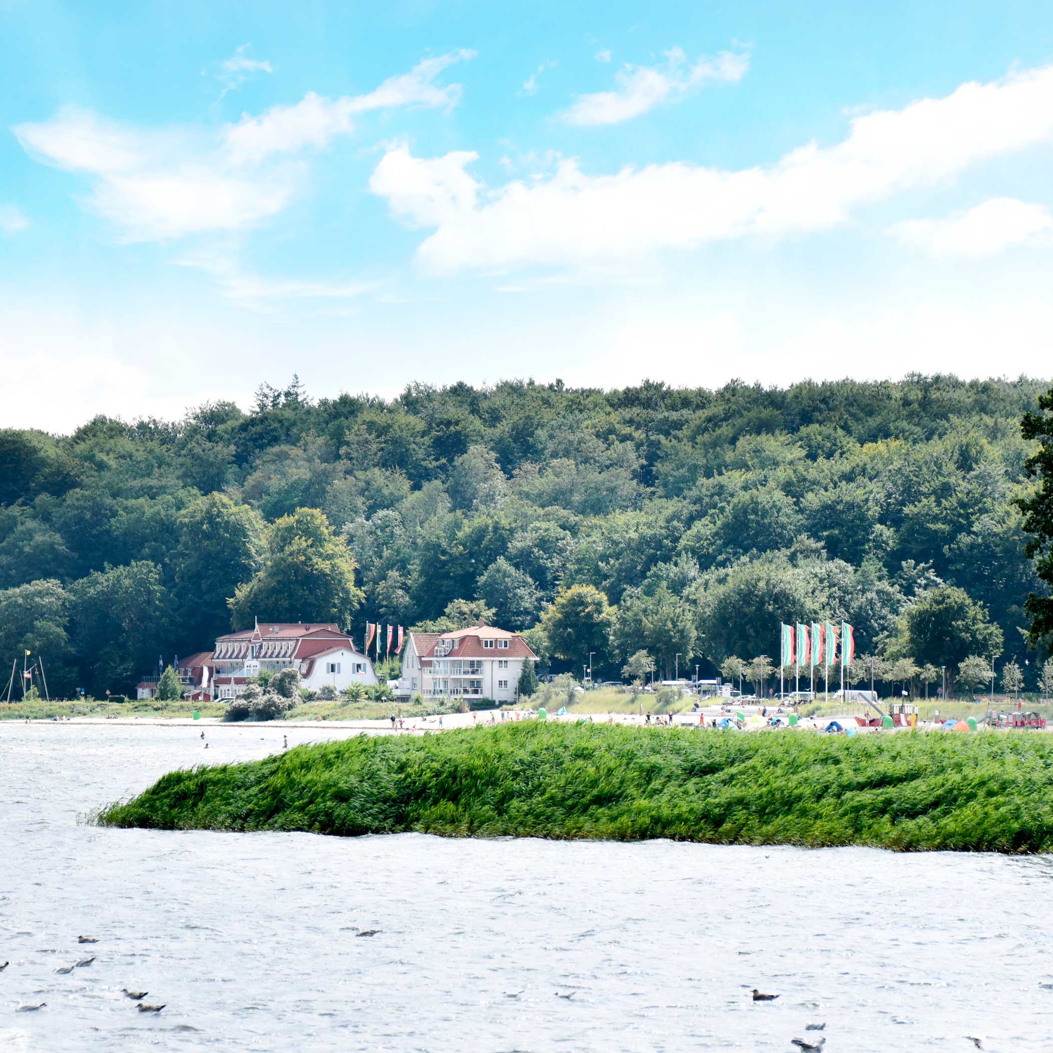 hochzwei_taff2_teaser_06.jpg Blick auf den Strand in Wassersleben
