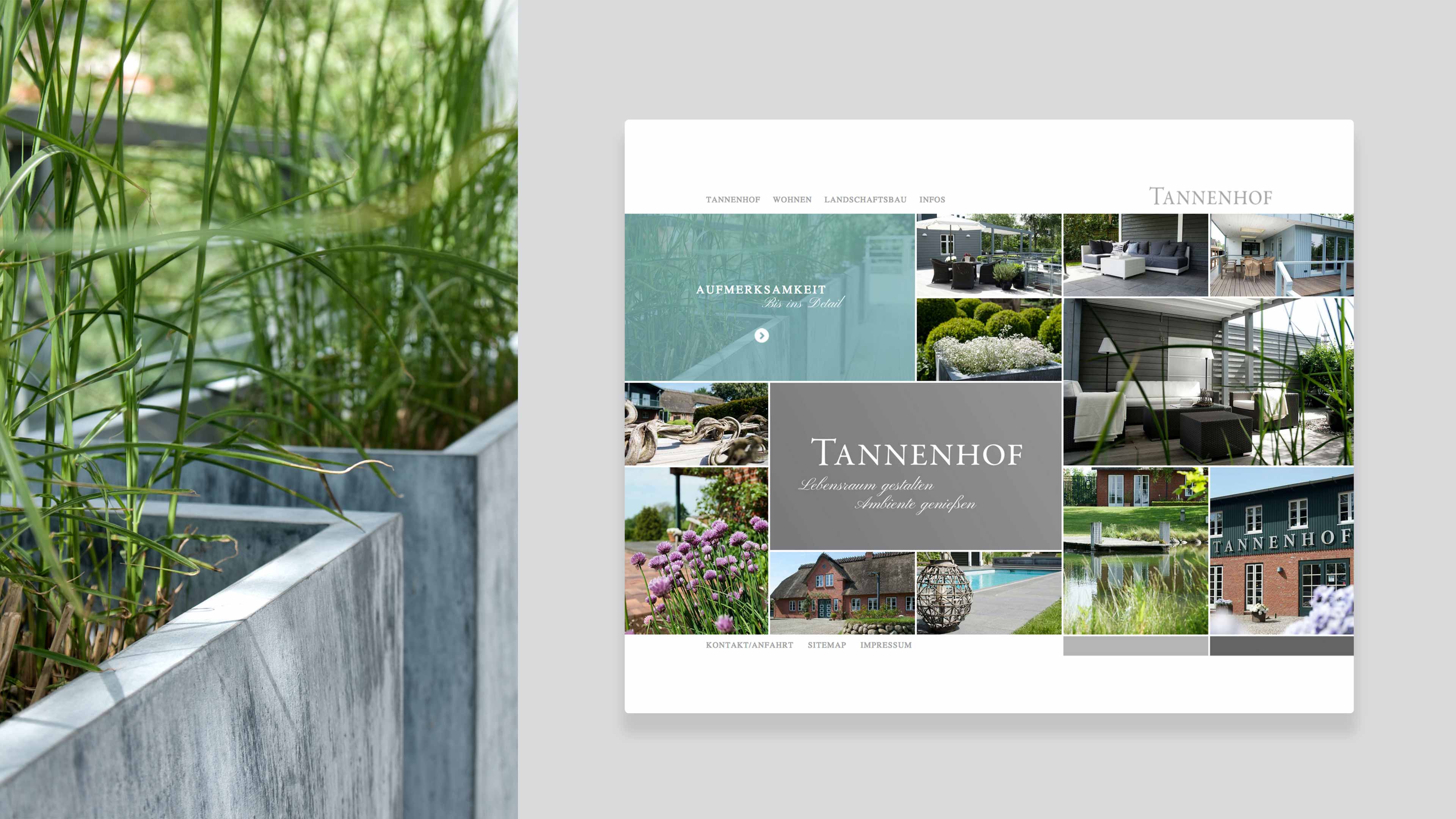 hochzwei_tann_slider_01.jpg Grüne Pflanzen in einem grauen Topf