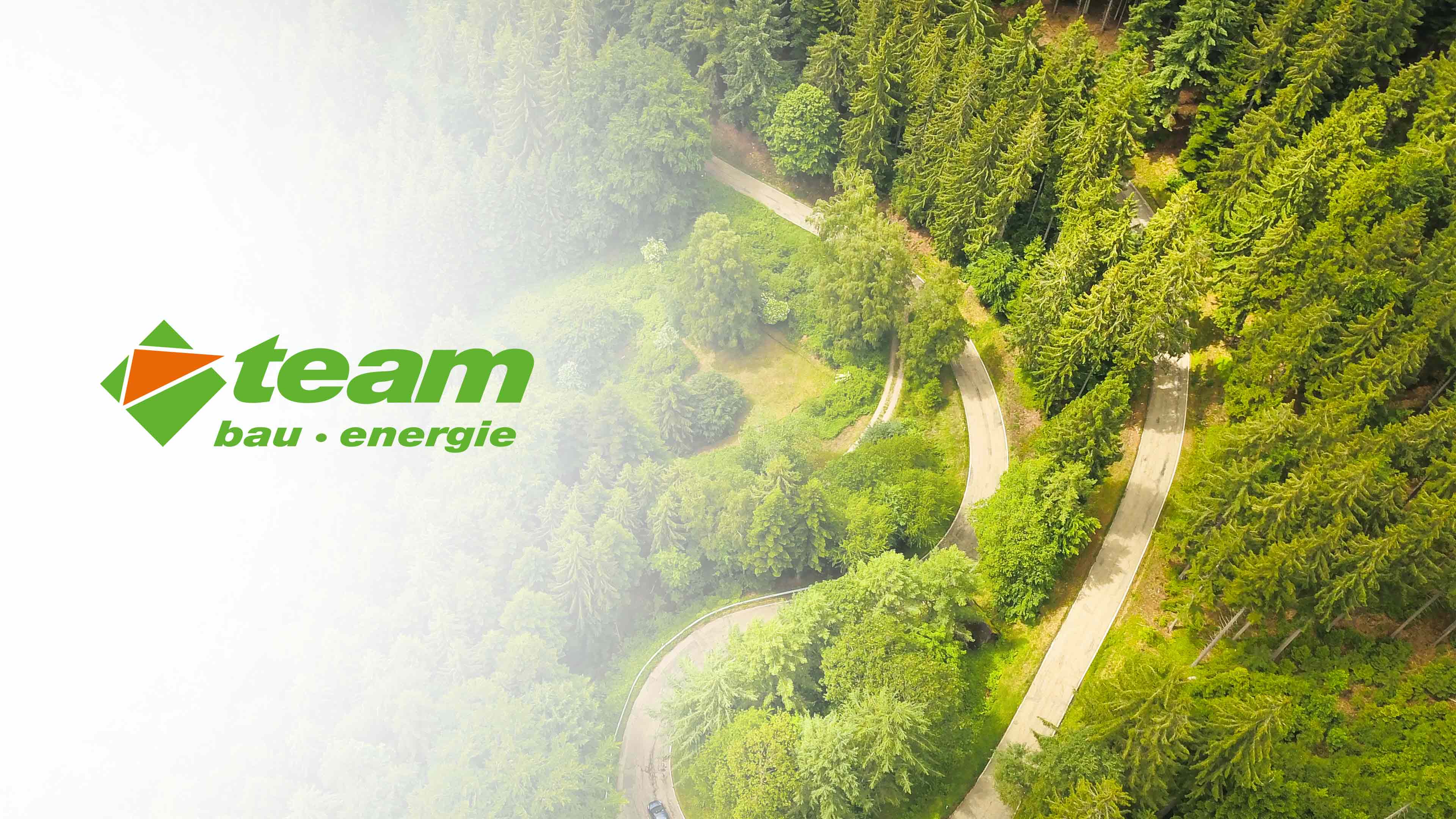 Luftbild eines Waldes mit verschnörkeldem Pfad