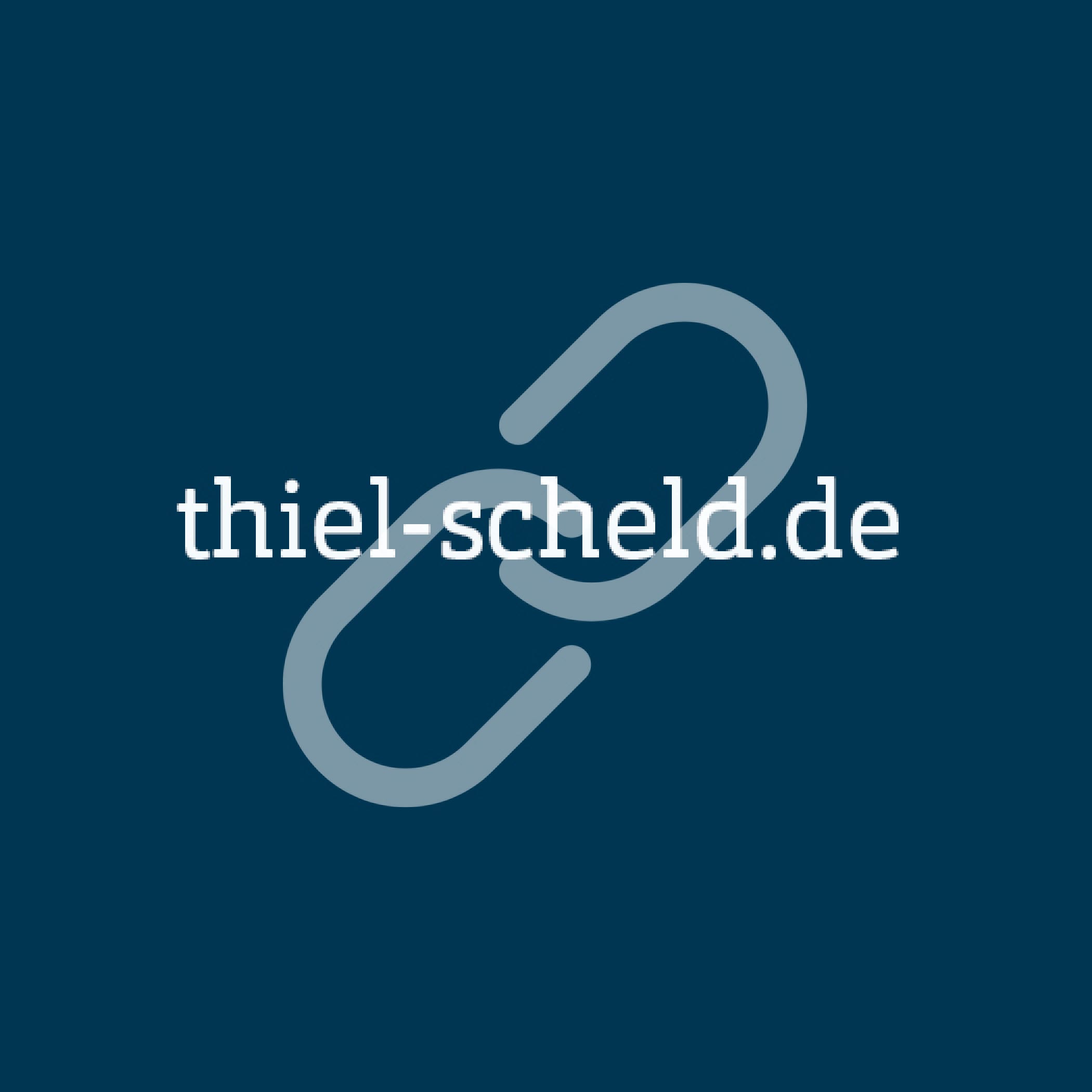 hochzwei_thish_teaser_08.jpg URL von Thiel und Scheld mit blauem Kettensymbol