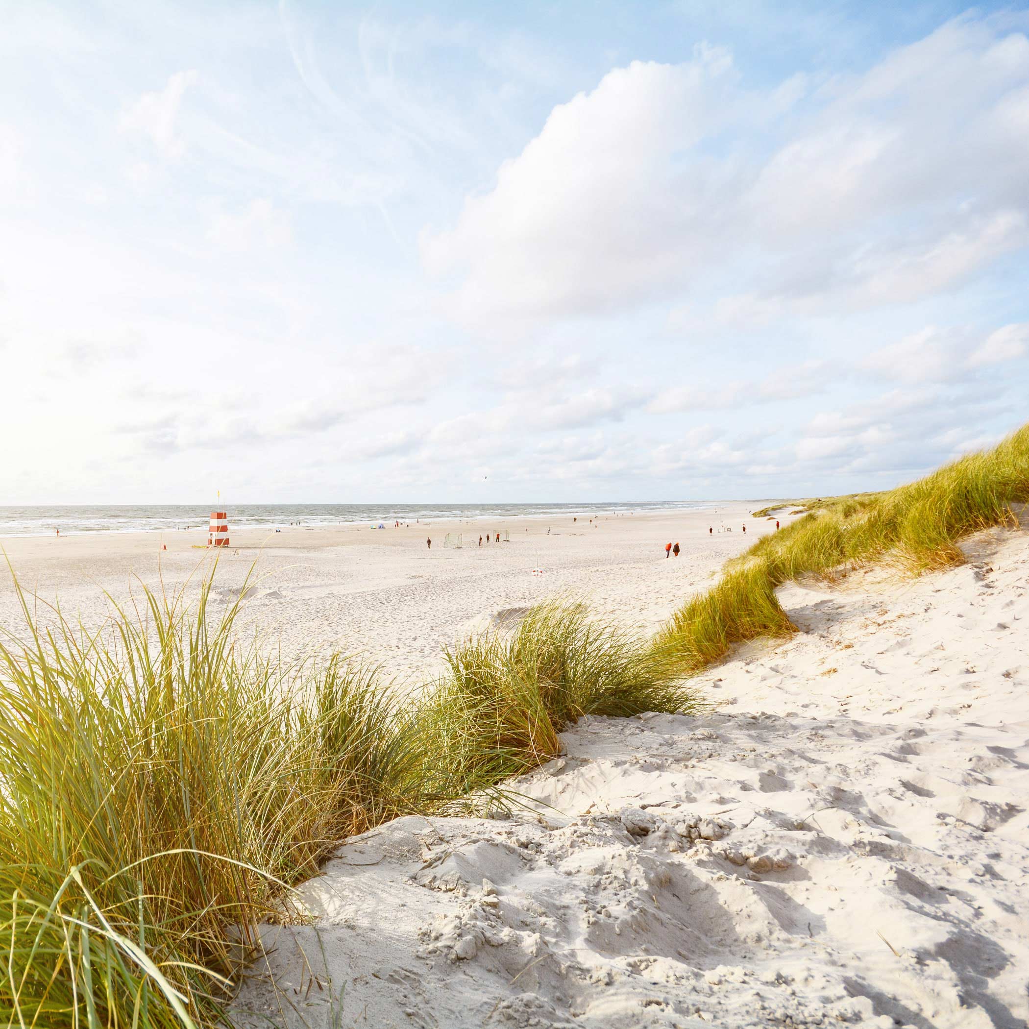 hochzwei_vide_teaser_05.jpg Blick auf Strand aus den Dünen
