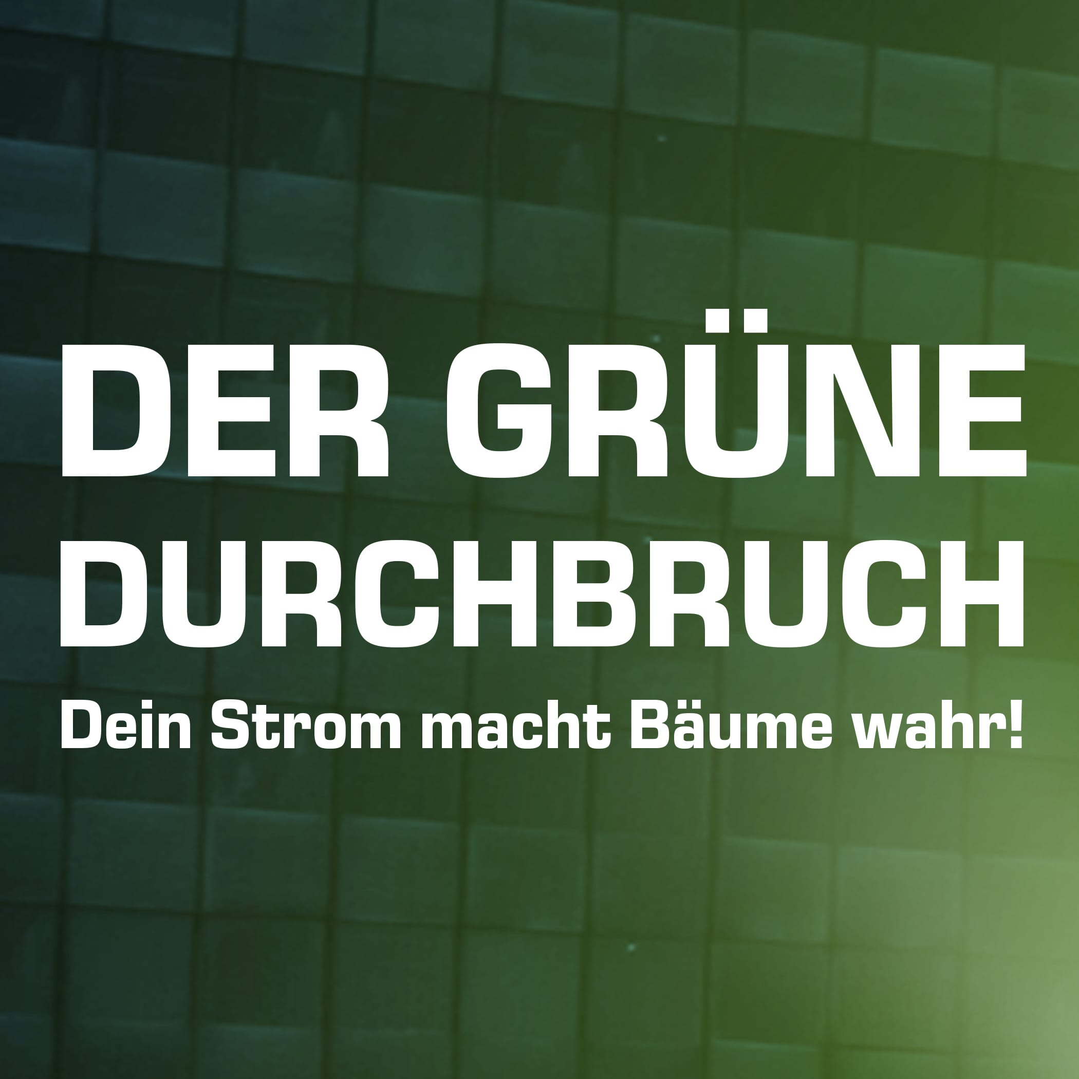hochzwei_frne_teaser_03.jpg Slogan mit grünem underlay aus Kacheln