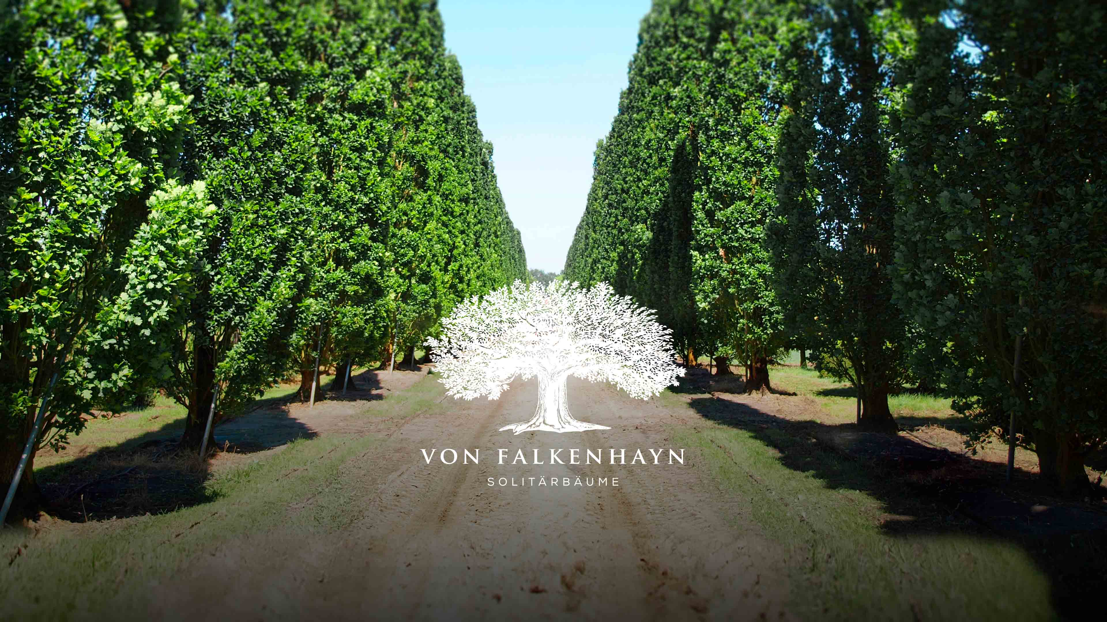 Grüne Alee mit Logo in der Mitte