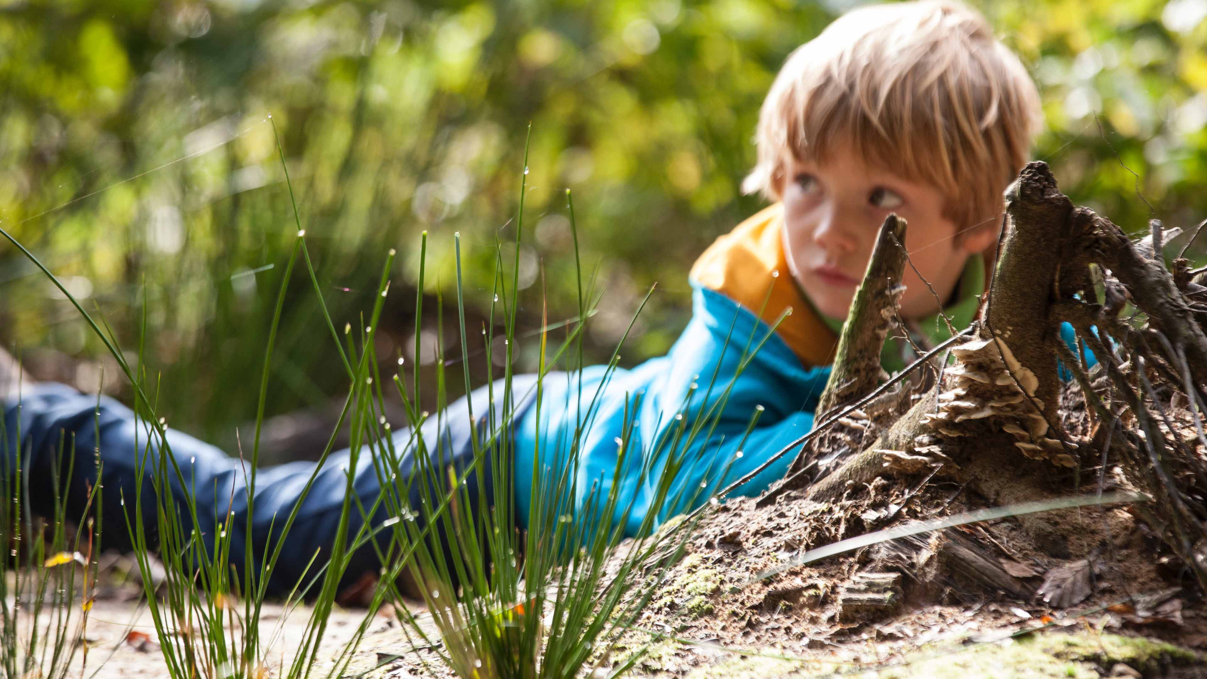 Kleiner Junge spielt im Wald