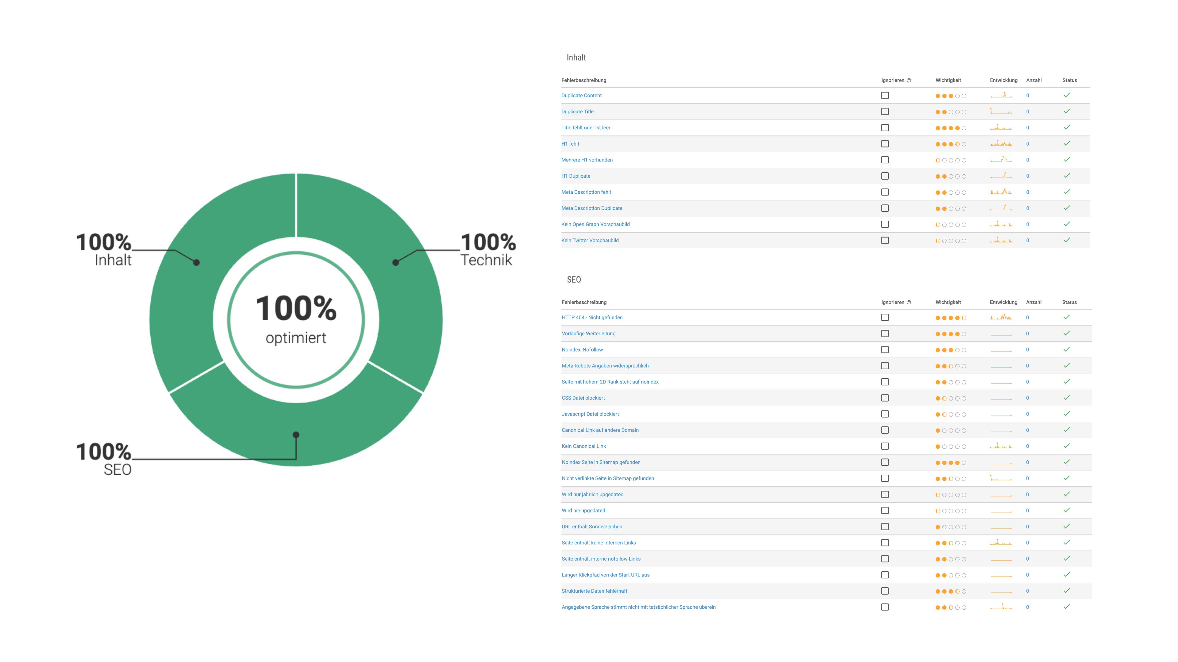 Eine Fehlerauswertung einer Webseite deren Ergebnis 100% fehlerfreiheit anzeigt