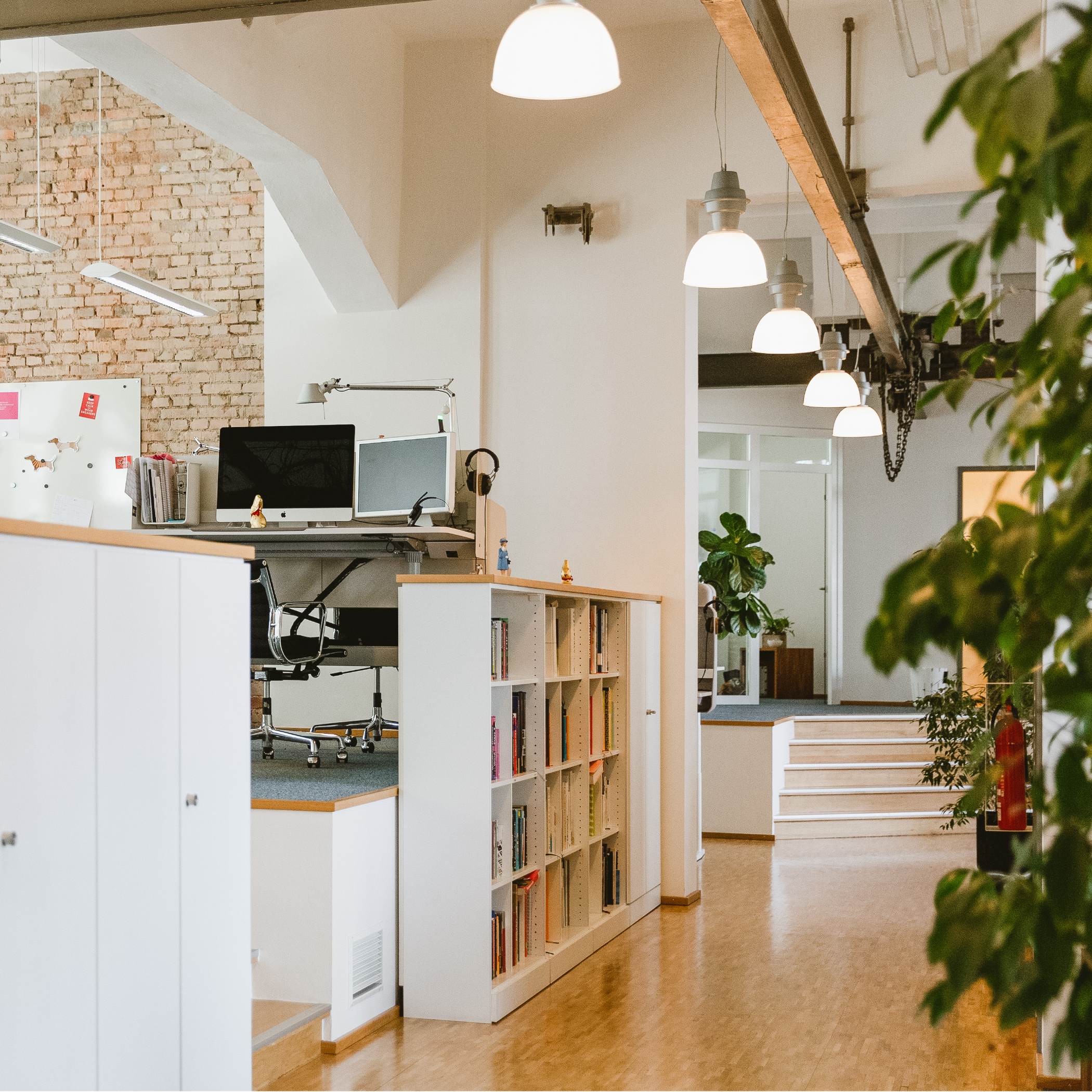 Blick in den leeren Flur mit hellem Laminatboden, Pflanzen und Bücherregalen