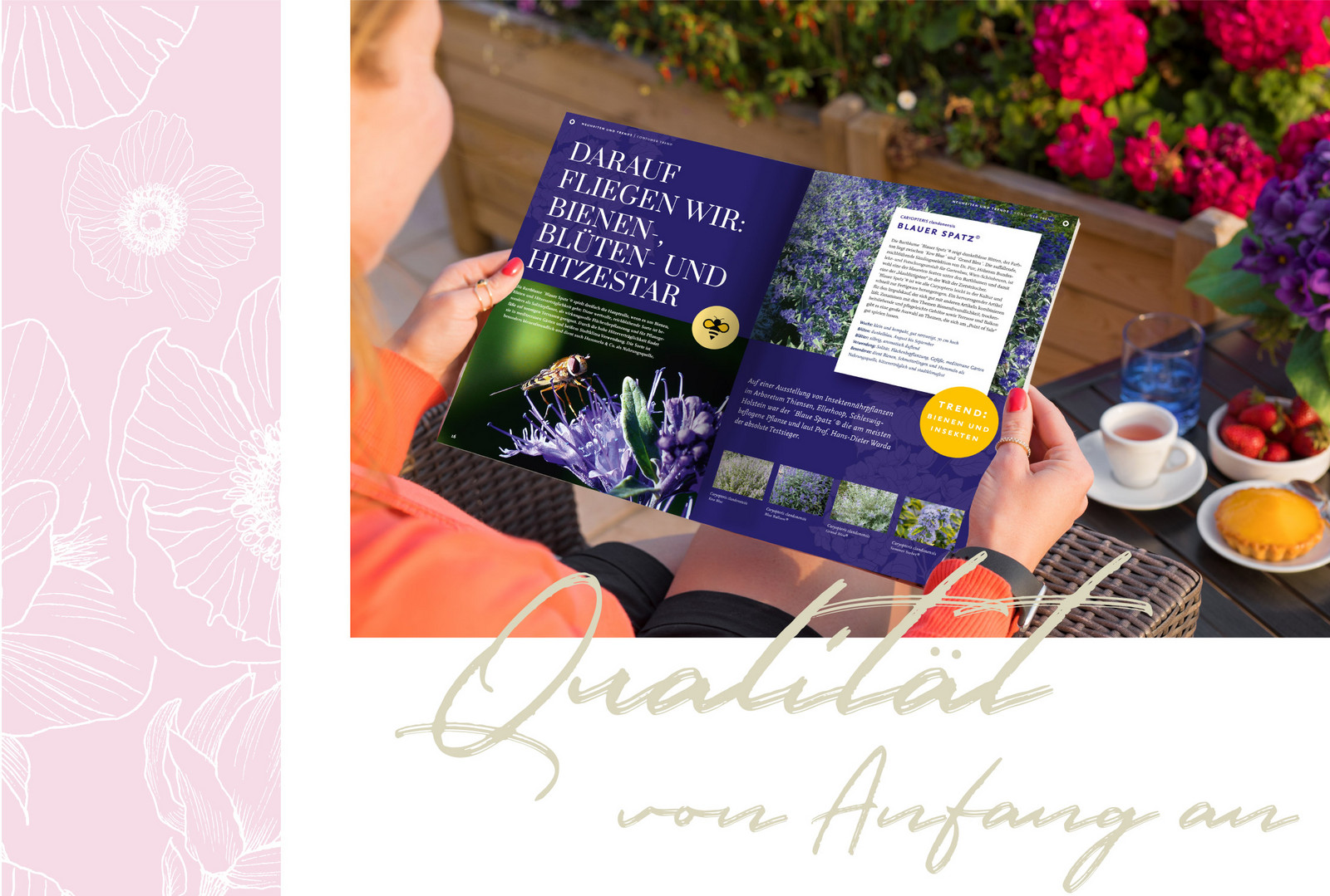 Frau liest Katalog von Kordes