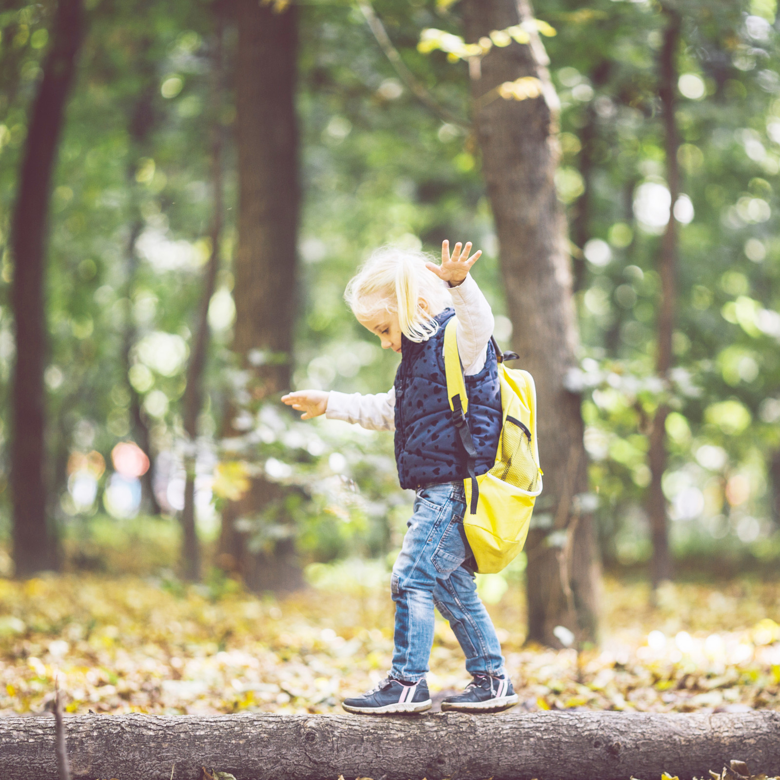 hochzwei_gewa_teaser_02.jpg Ein blondes Kind balanciert auf einem Baumstamm