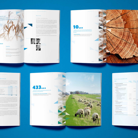 Drei Einblicke in den Kieler Rück Geschäftsbericht 2017