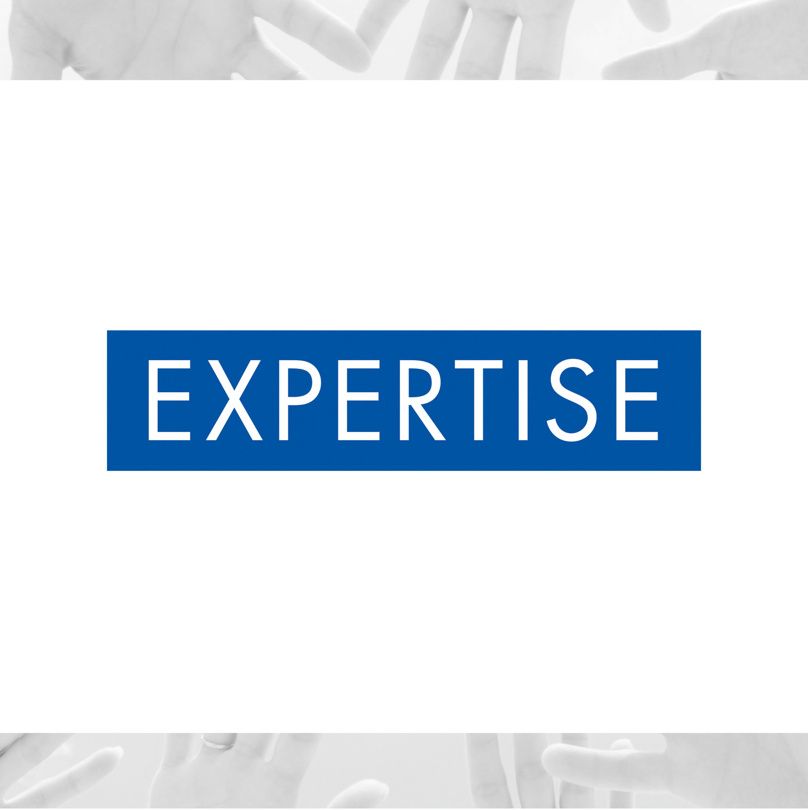 hochzwei_hpo_teaser_06.jpg Das Wort Expertise auf einem blauen Hintergrund