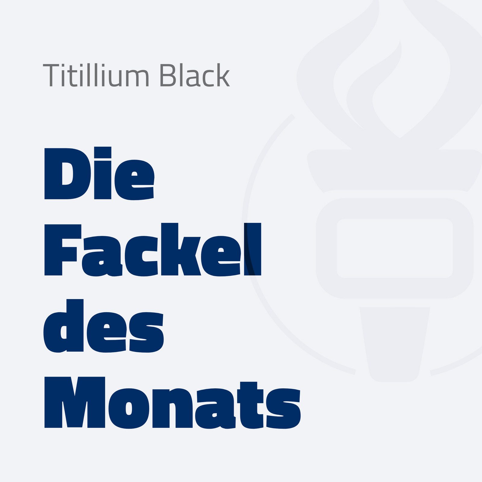 hochzwei_sg_teaser_02.jpg Blaue Schrift mit einer Fackel im Hintergrund