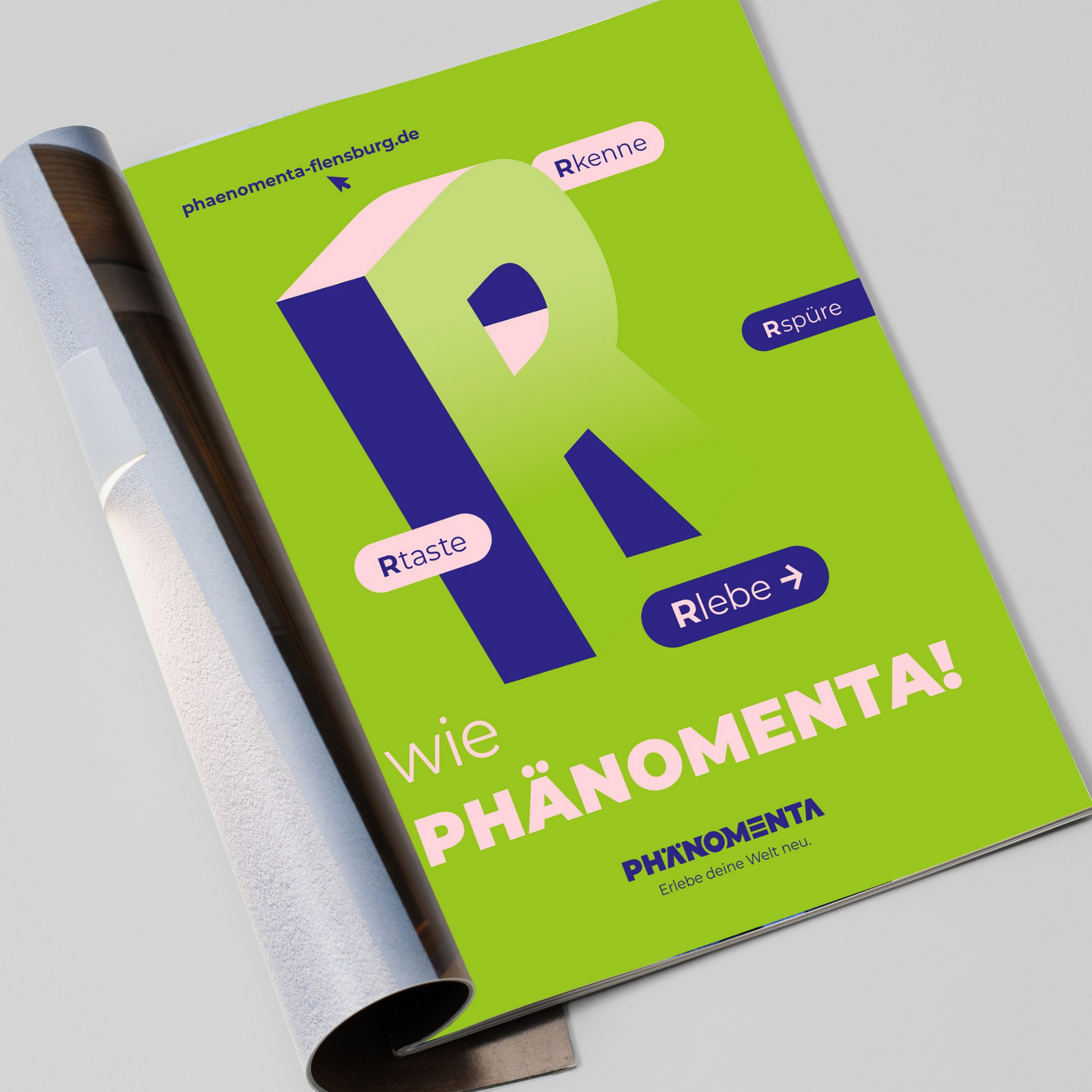 h2_phaenomenta_teaser_03.jpg Ein Prospektheft mit einer grünen Seite