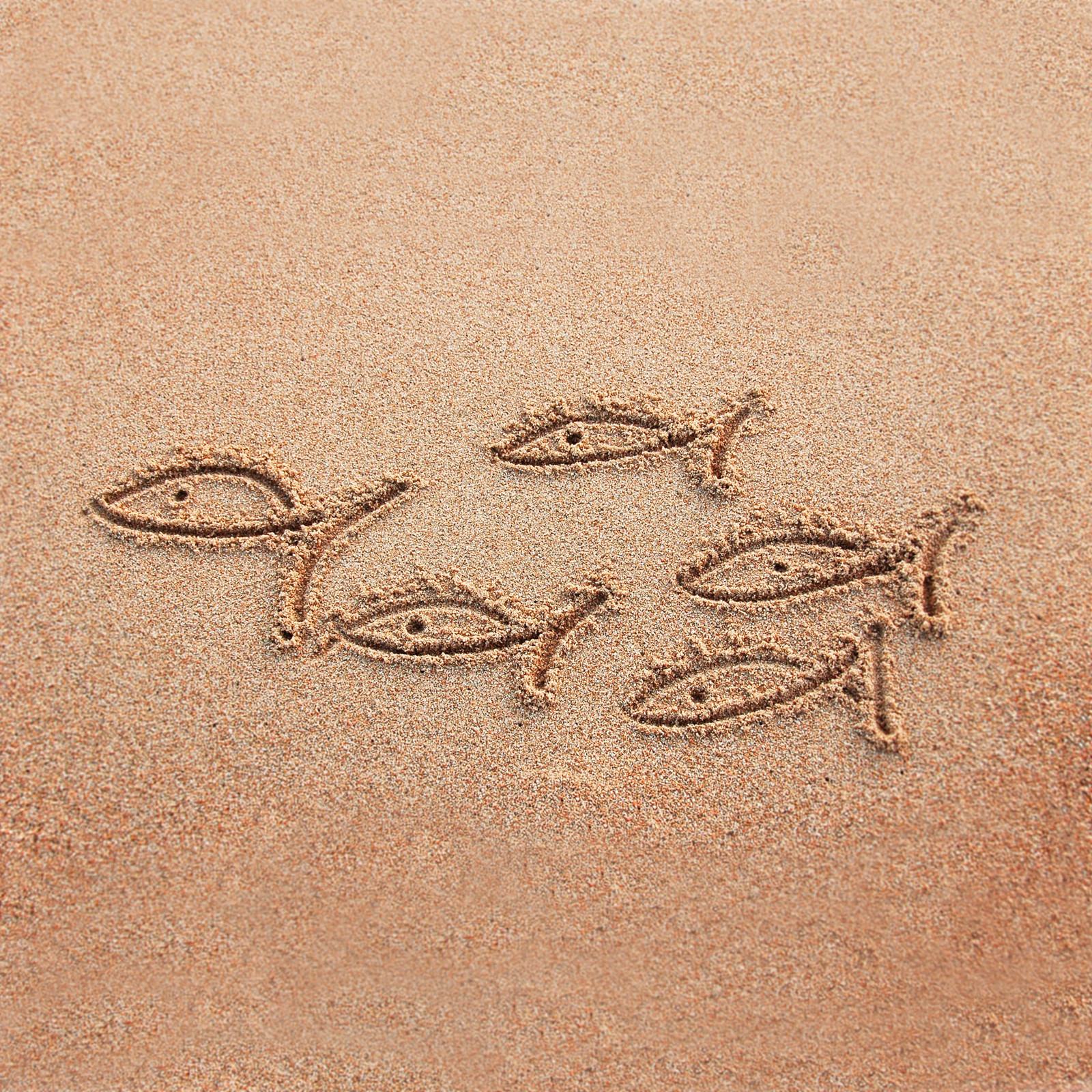 hochzwei_netgroup_teaser_03.jpg Fünf Fische gemalt in Sand
