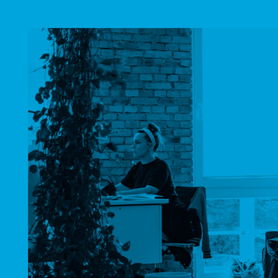 Wie erfolgt die Konzeption einer neuen Website? Blick auf den Arbeitsplatz mit Grünpflanzen