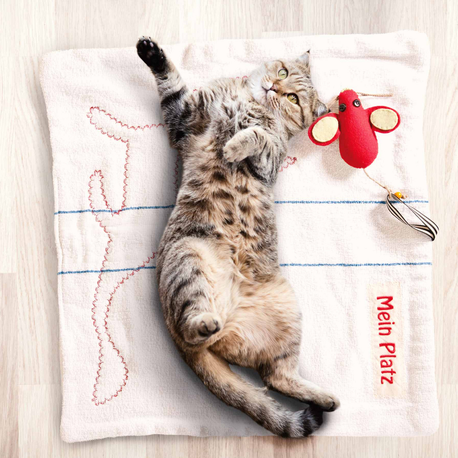 hochzwei_muer_teaser_06.jpg Getigerte Katze spielt mit einem Filz Spielzeug