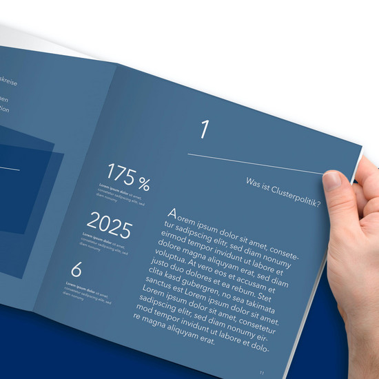 Blaues Buch über Clusterpolitik
