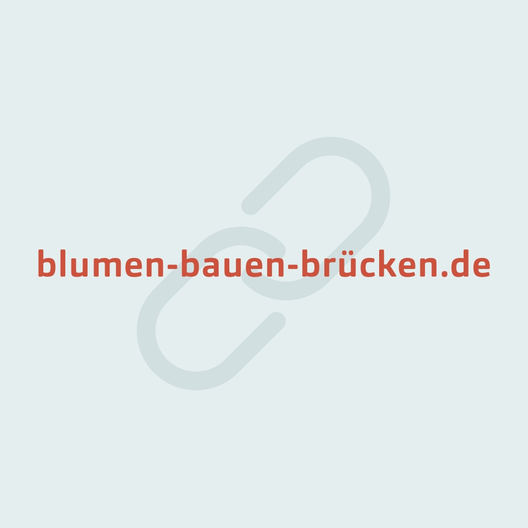 hochzwei_FLFJ_teaser_08.jpg URL von Blumen bauen Brücken